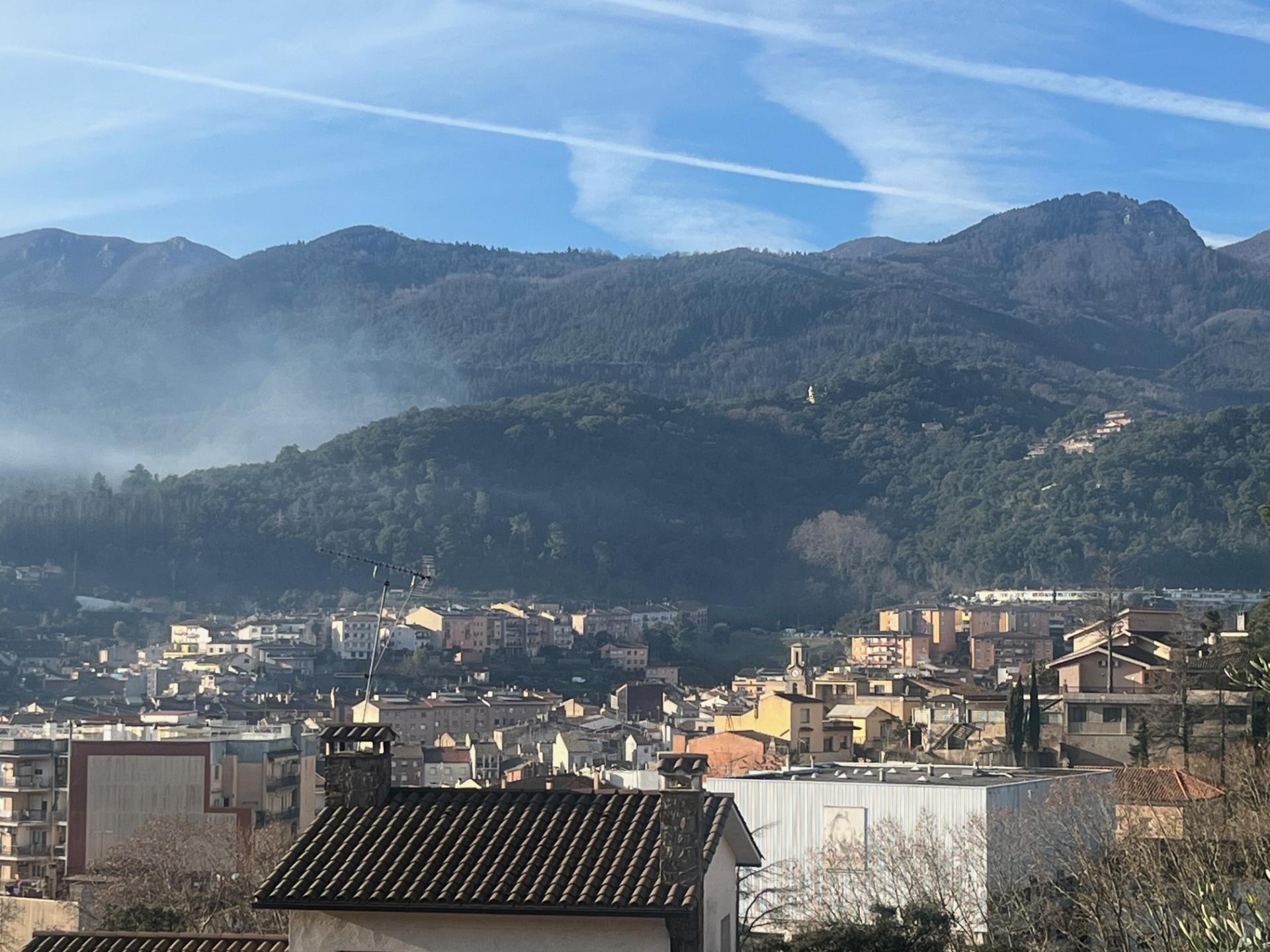 Negocios-Venta-ArbÃºcies-2045431-Foto-20