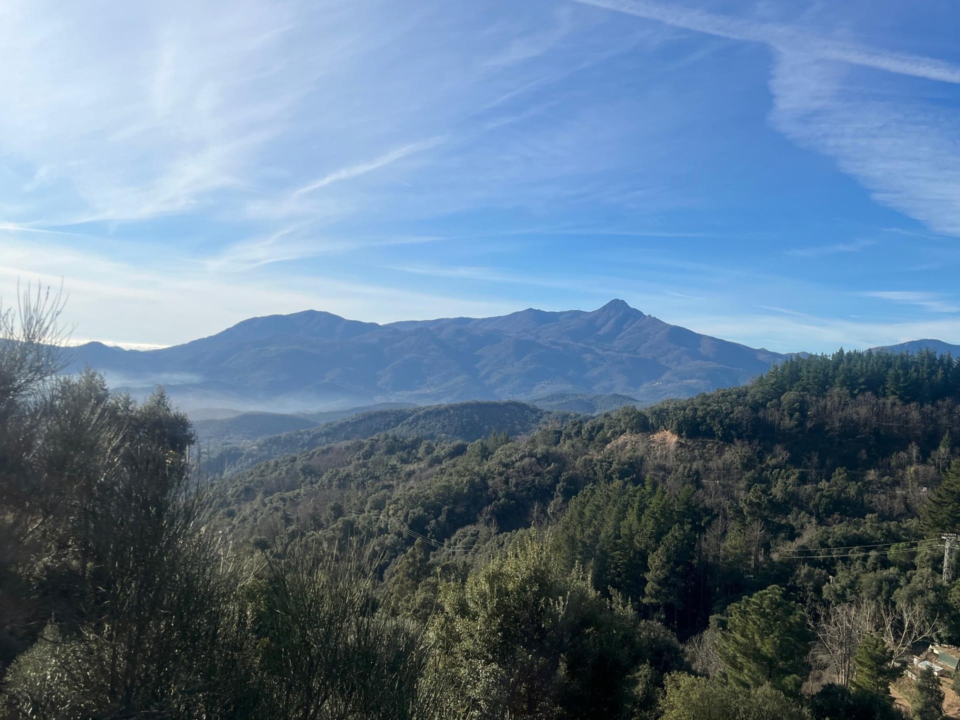 Negocios-Venta-ArbÃºcies-2045431-Foto-22