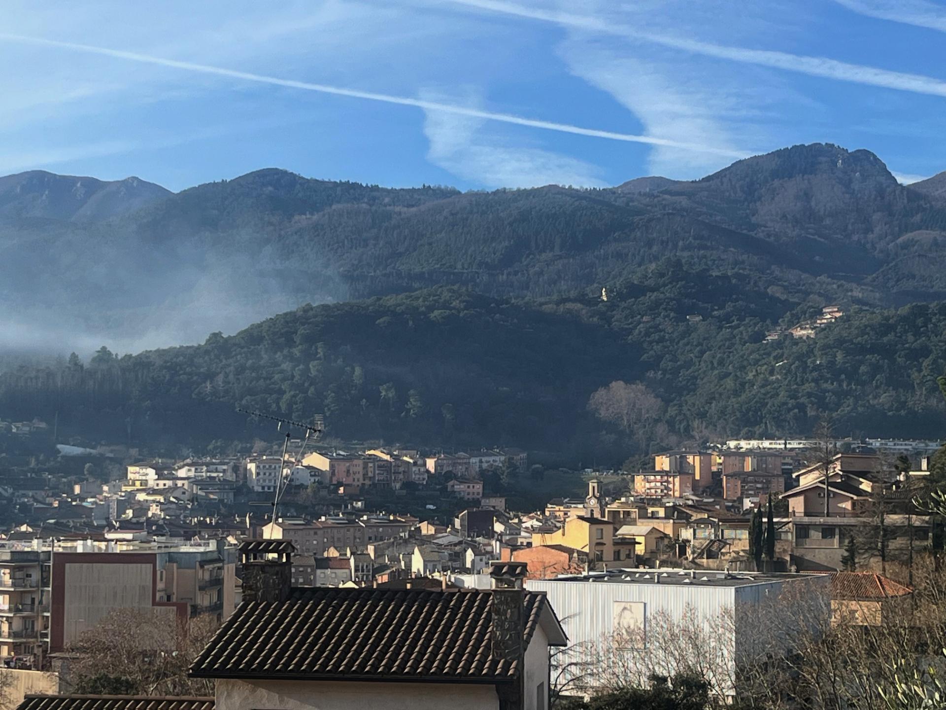 Negocios-Venta-ArbÃºcies-2045431-Foto-21