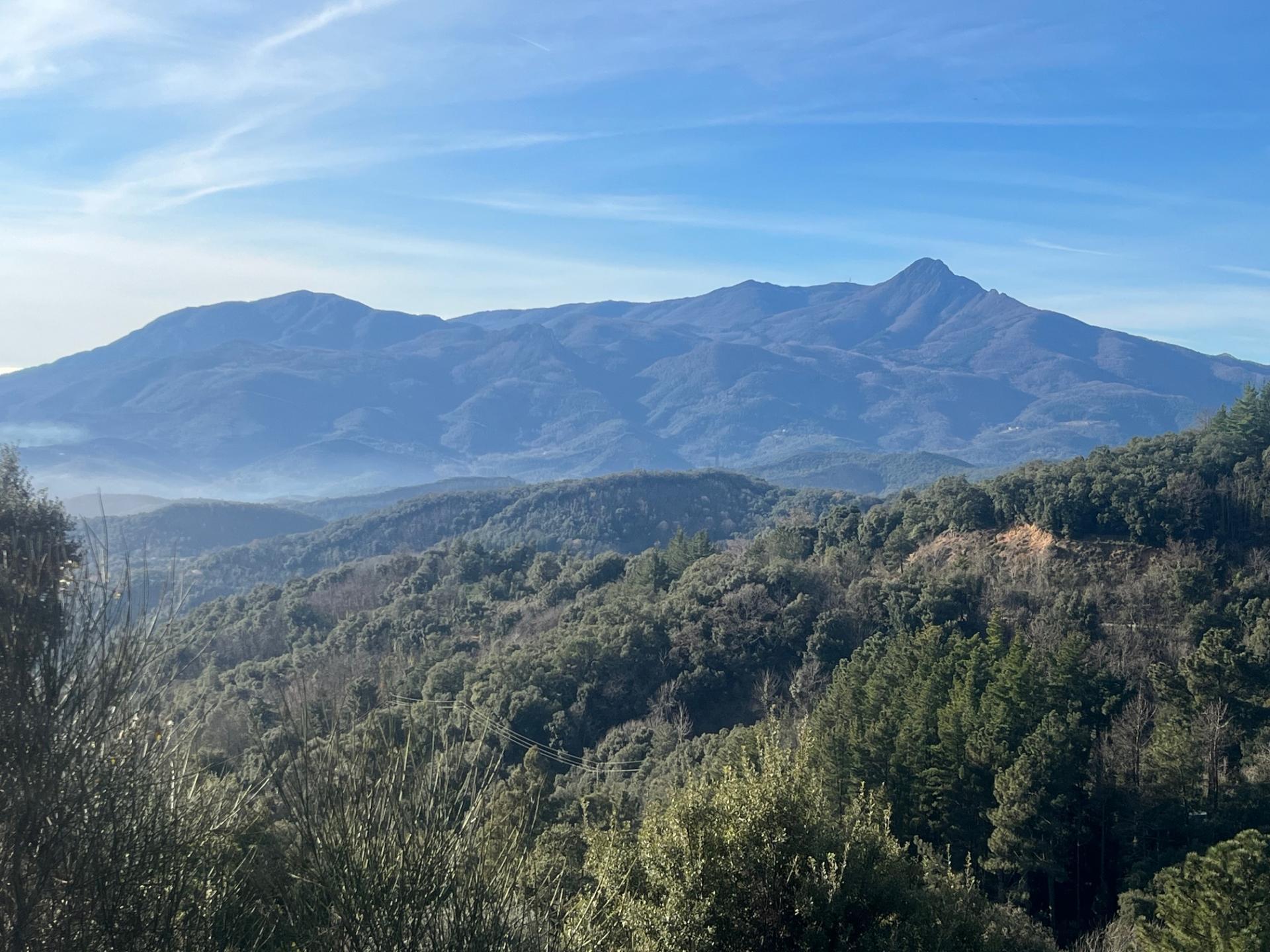 Negocios-Venta-ArbÃºcies-2045431-Foto-23