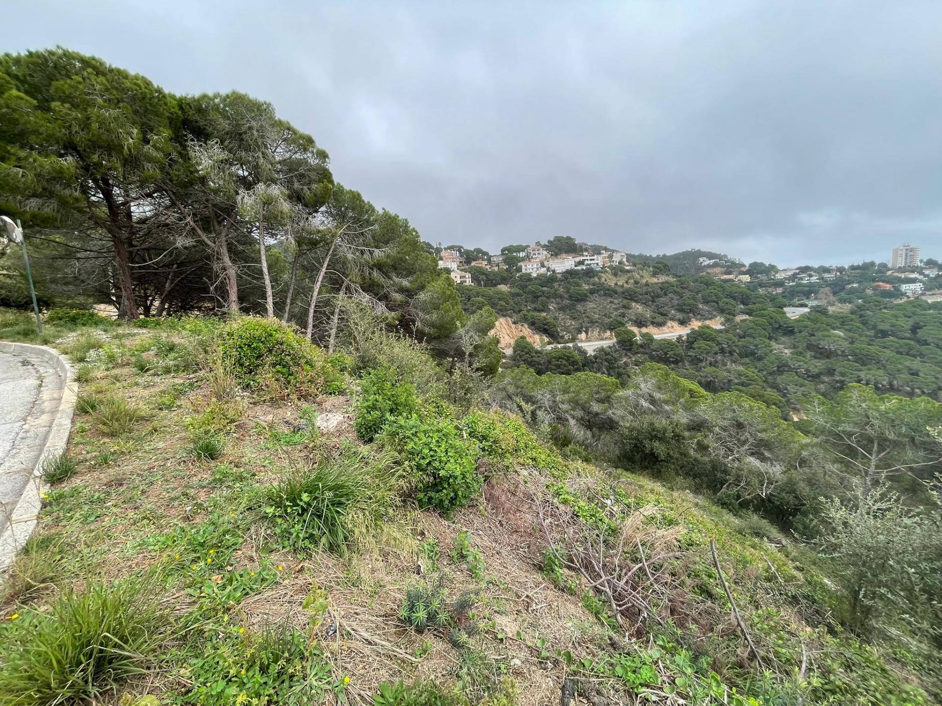 Fincas y solares-Venta-Lloret de Mar-2045434-Foto-4