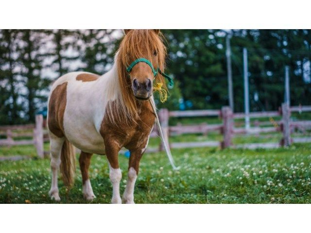 Fincas y solares-Venta-1975502