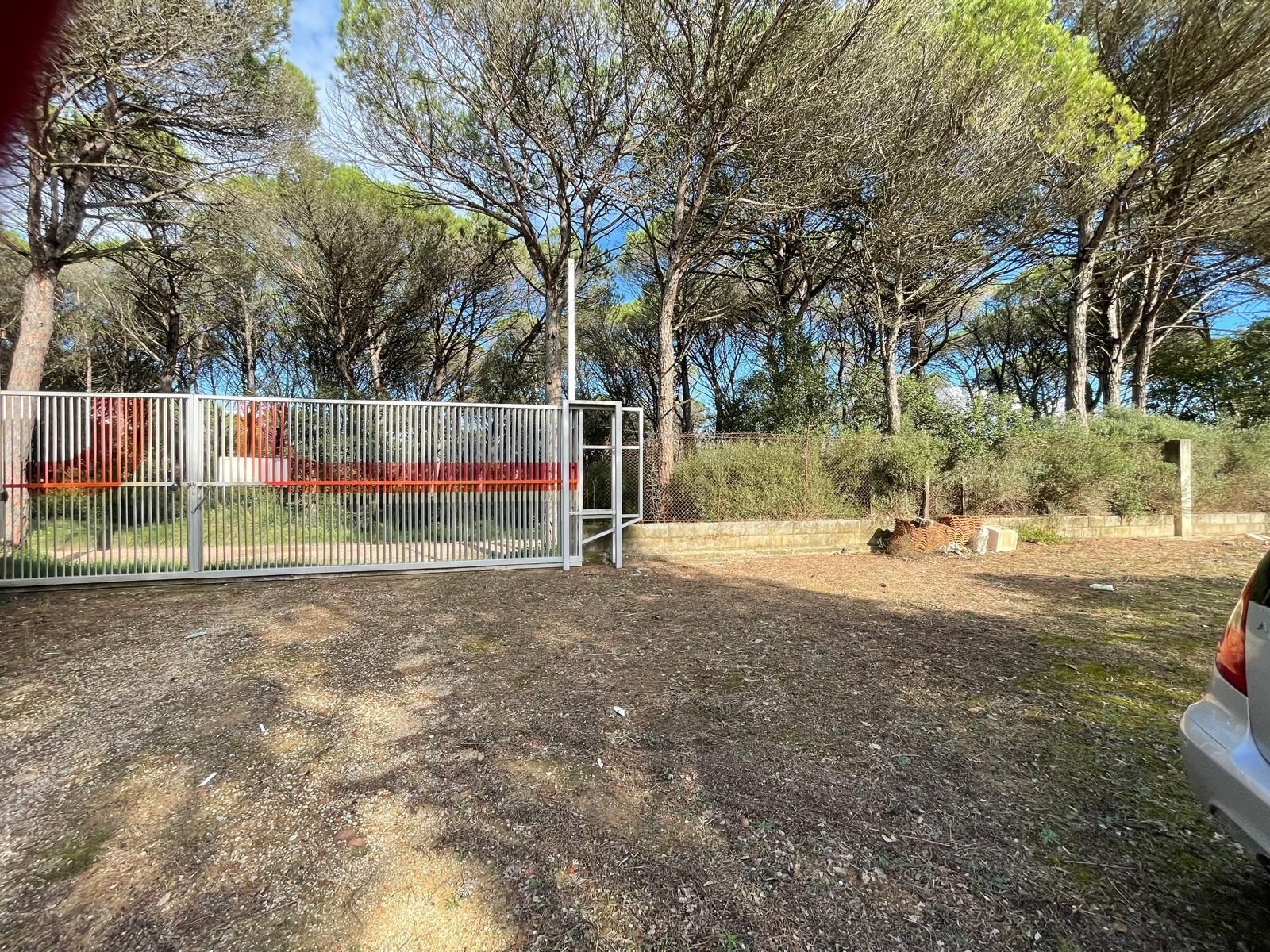 Fincas y solares-Venta-Sils-1975502-Foto-5