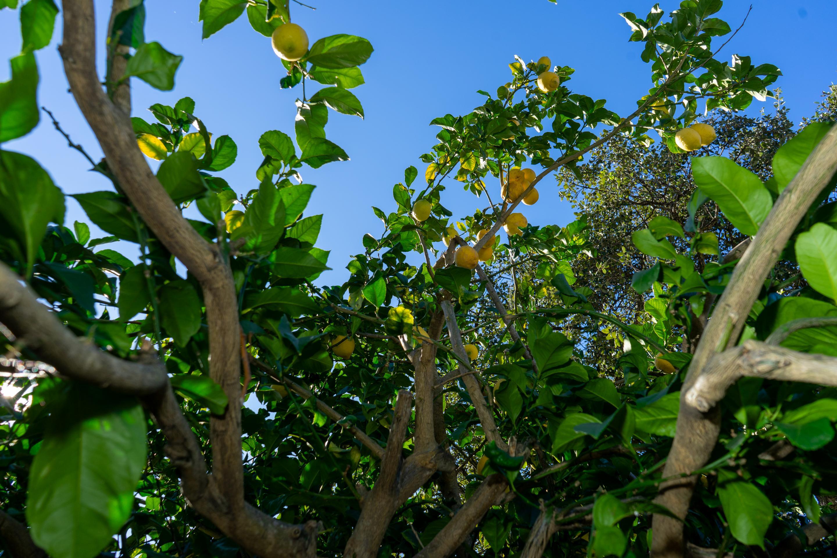 Casas o chalets-Venta-Lloret de Mar-1651056-Foto-16