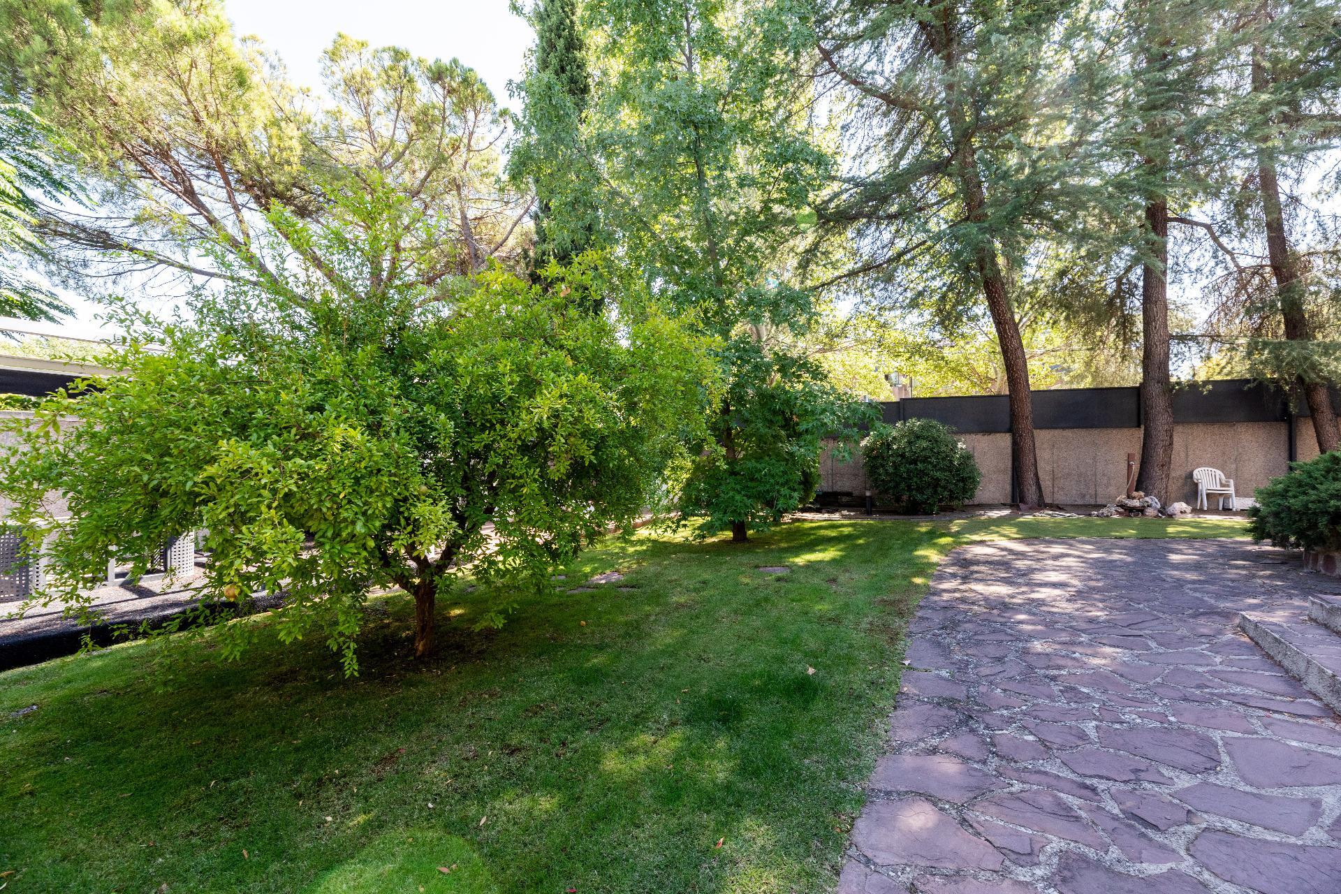 Casas o chalets-Venta-Majadahonda-1842795-Foto-22