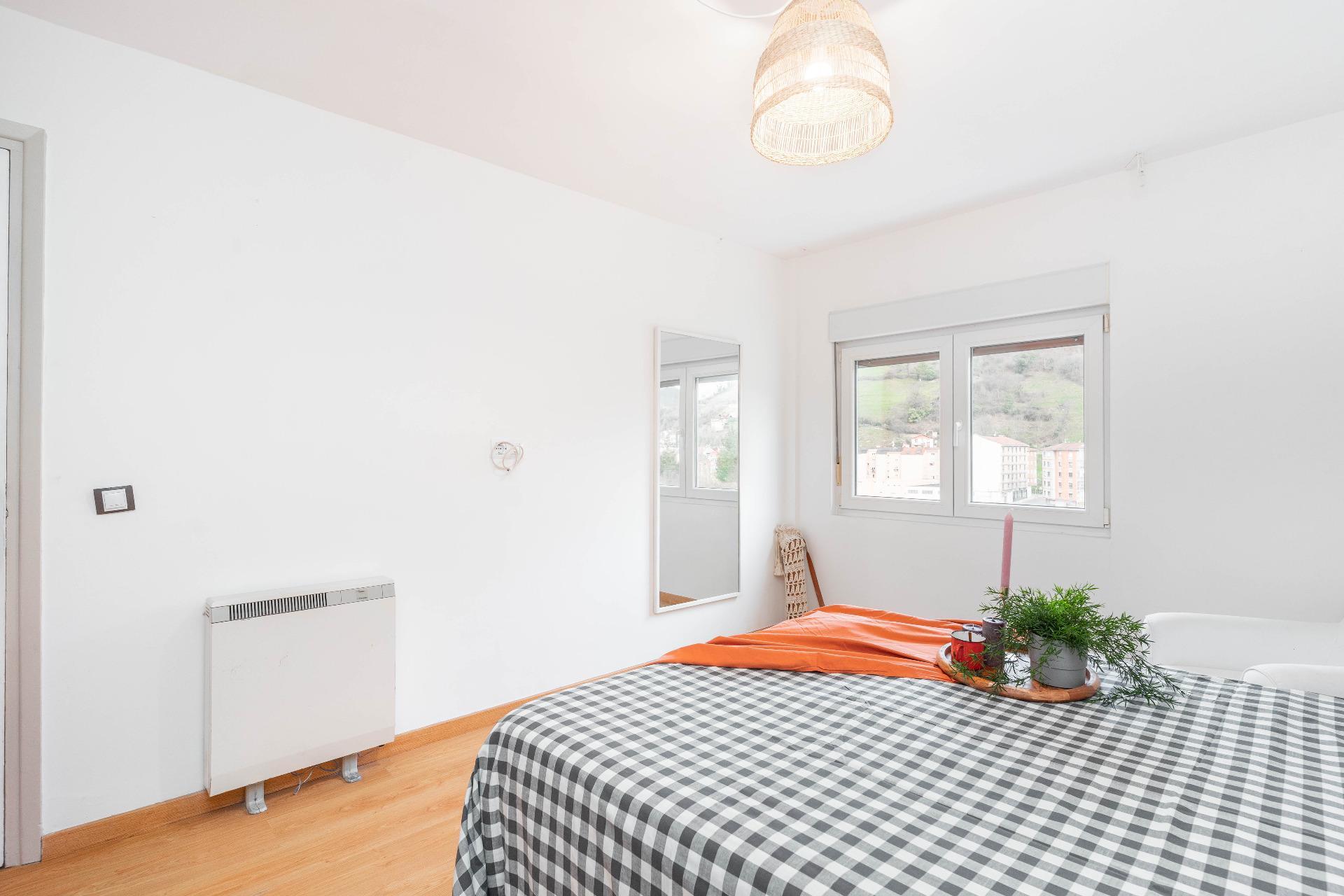 Pisos-Venta-Aller-2045392-Foto-10