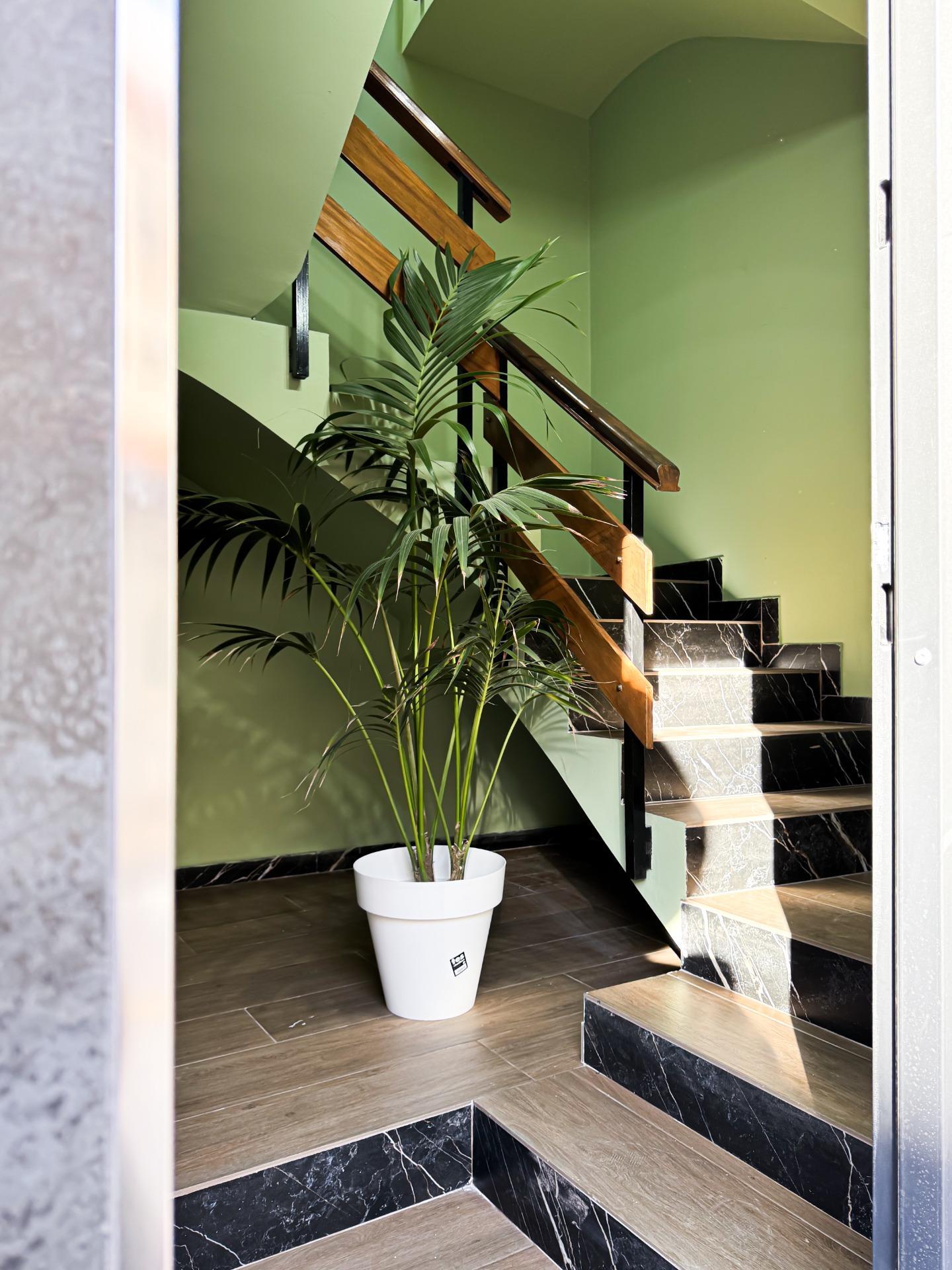 Edificios-Venta-Torrevieja-1993550-Foto-43