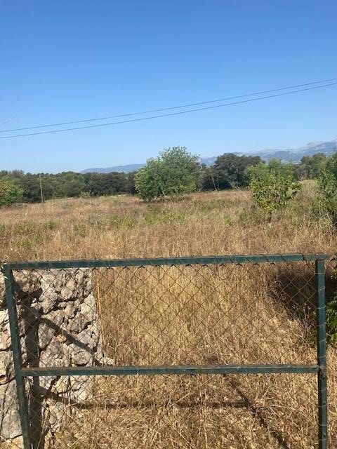 Fincas y solares-Venta-Costitx-2045410