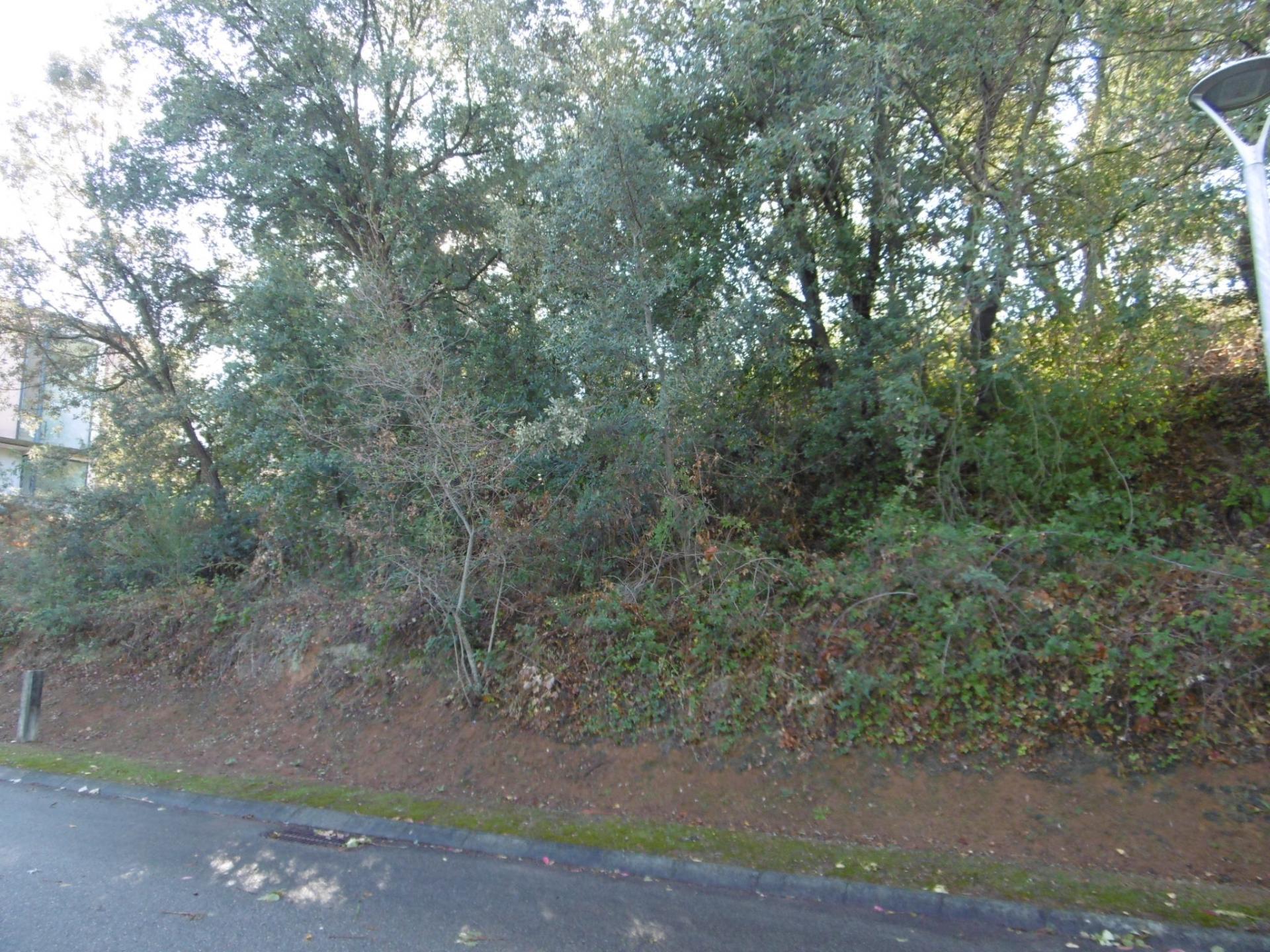 Fincas y solares-Venta-ArbÃºcies-1893742-Foto-2