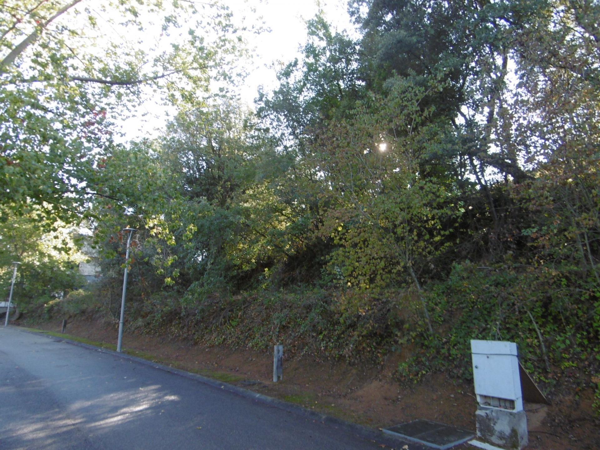 Fincas y solares-Venta-ArbÃºcies-1893742-Foto-4