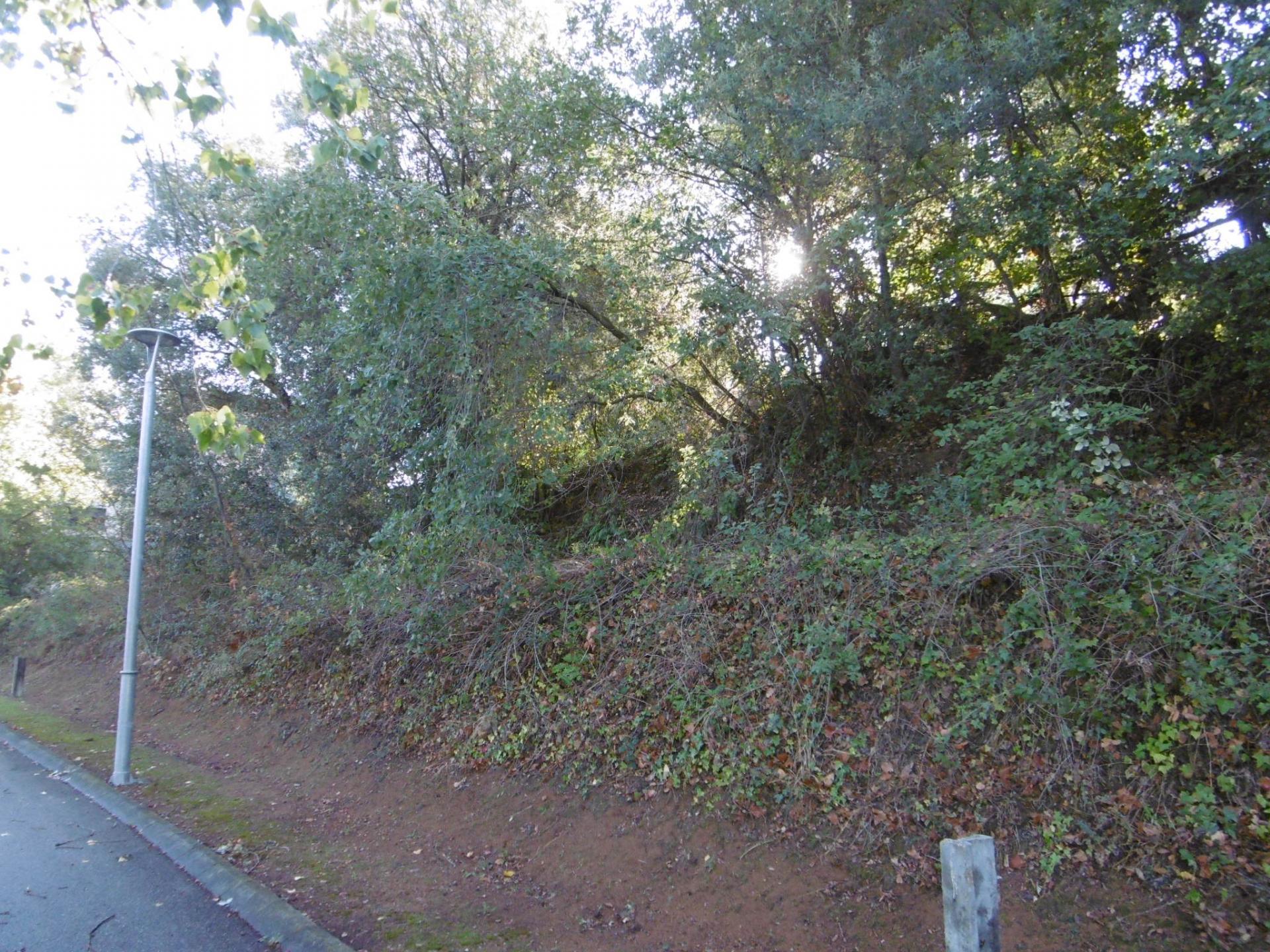 Fincas y solares-Venta-ArbÃºcies-1893742-Foto-3