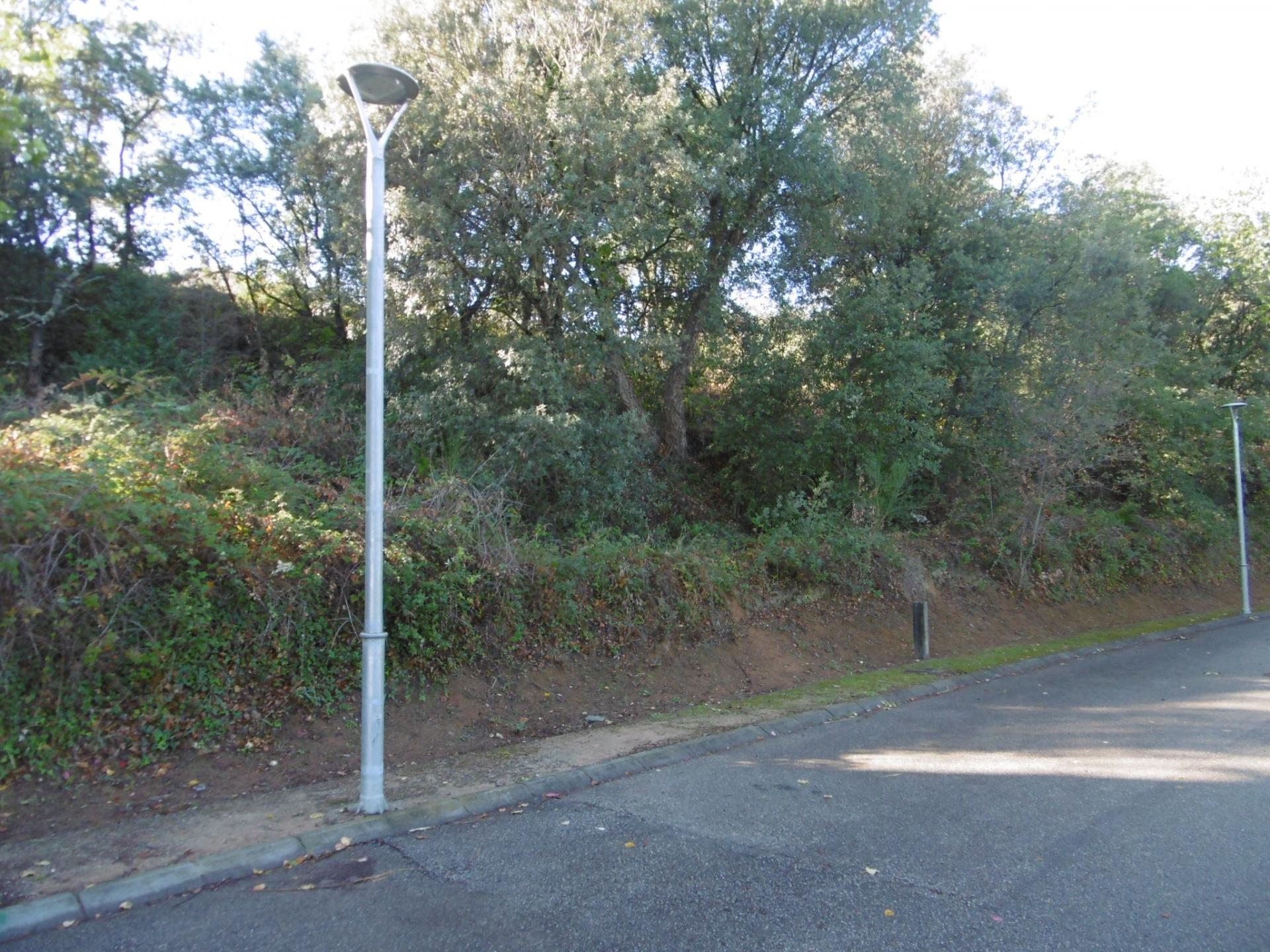 Fincas y solares-Venta-Arbúcies-1893742