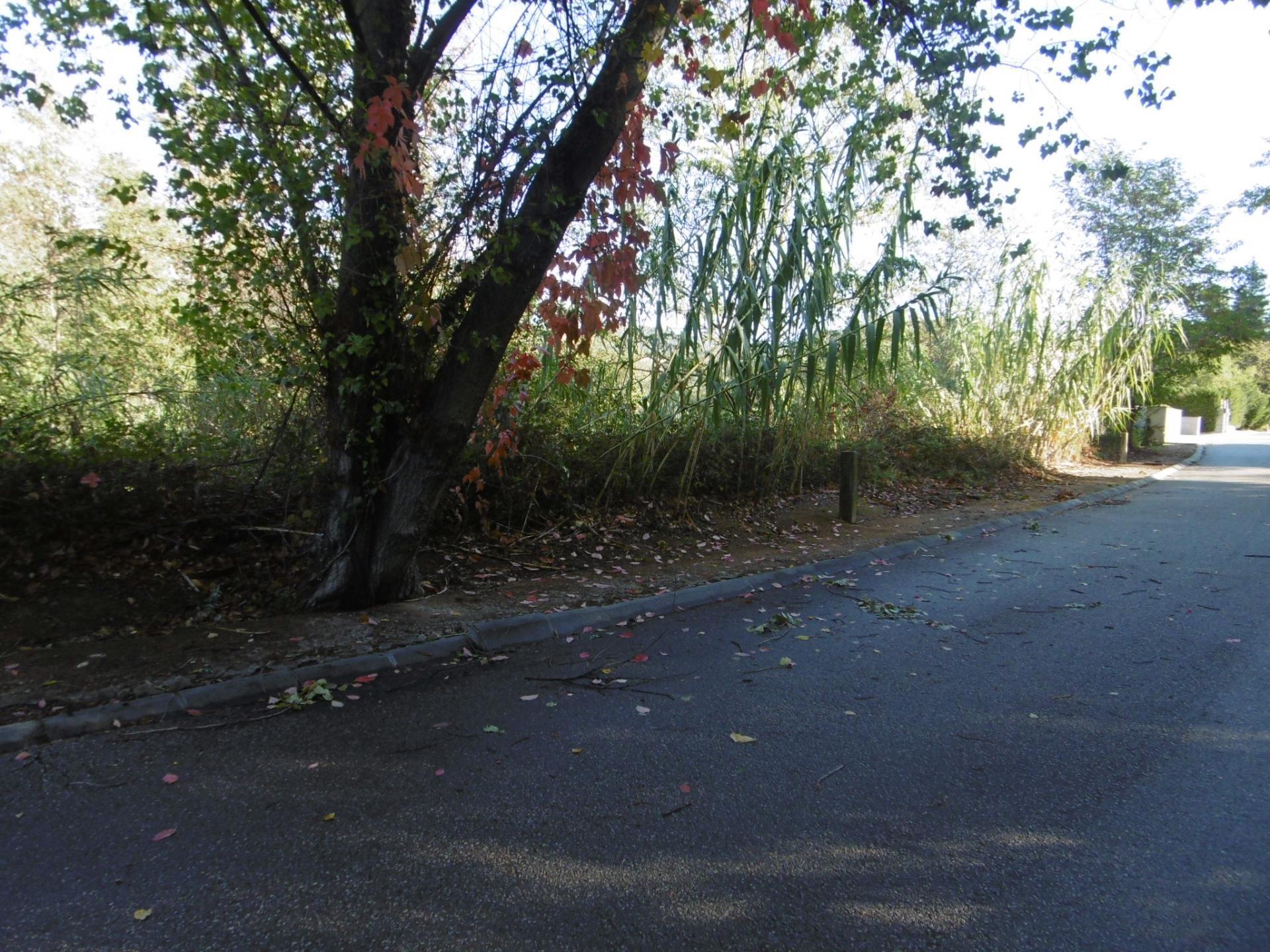 Fincas y solares-Venta-ArbÃºcies-1893742-Foto-12