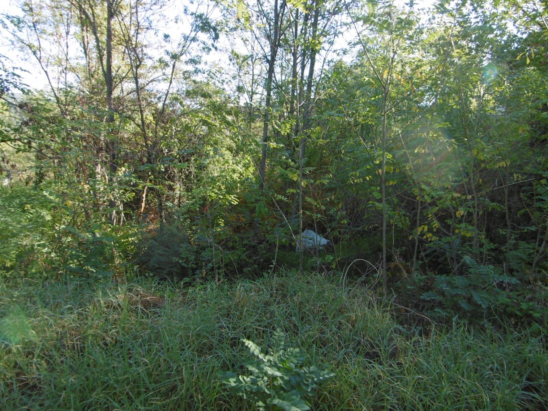 Fincas y solares-Venta-ArbÃºcies-1893742-Foto-13