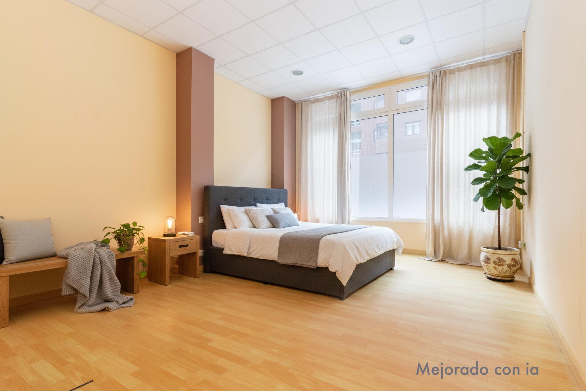 Negocios-Venta-Murcia-2045413-Foto-23