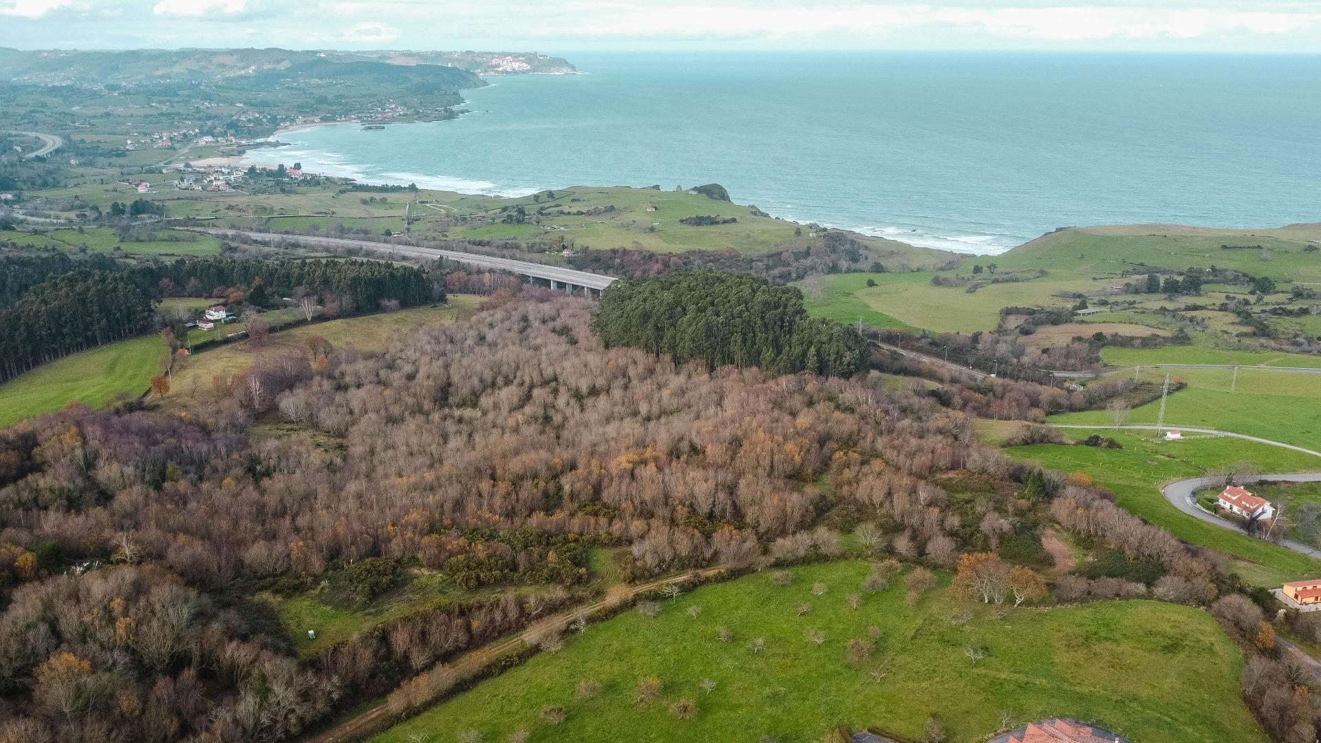 Casas o chalets-Venta-Caravia-2045461-Foto-45