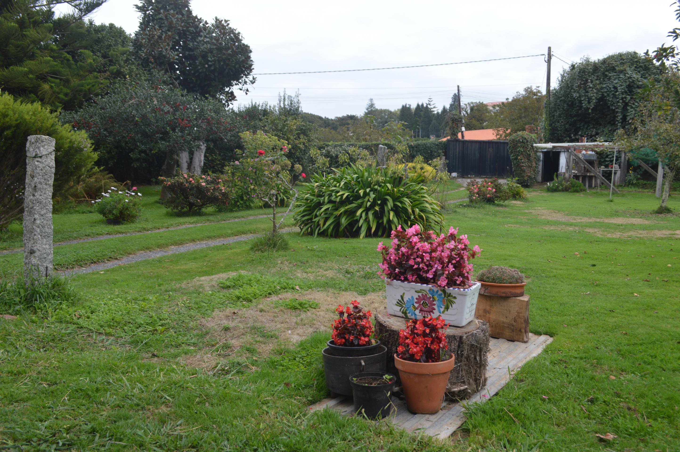 Casas o chalets-Venta-1901076