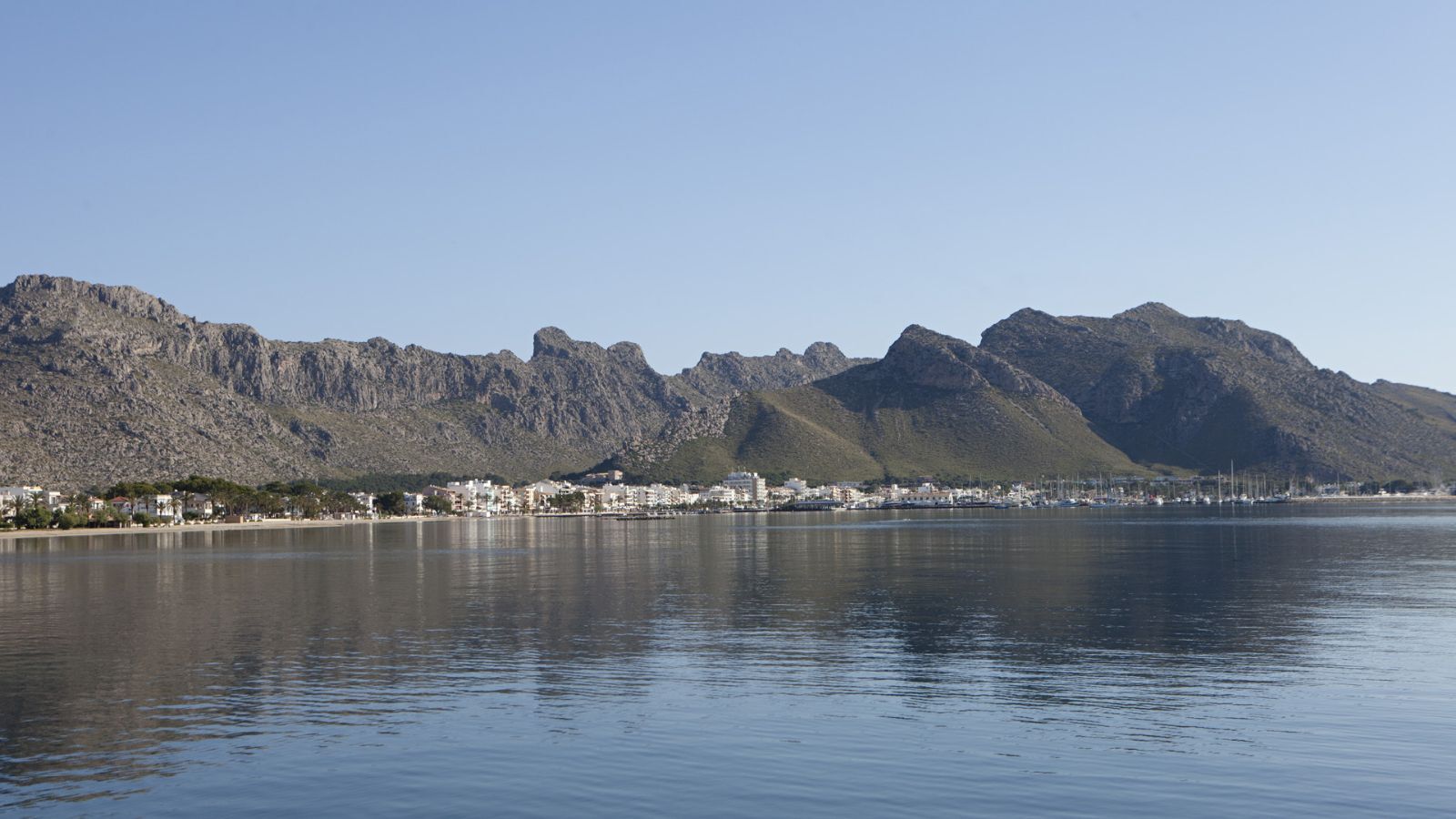 Negocios-Venta-PollenÃ§a-1993529-Foto-13