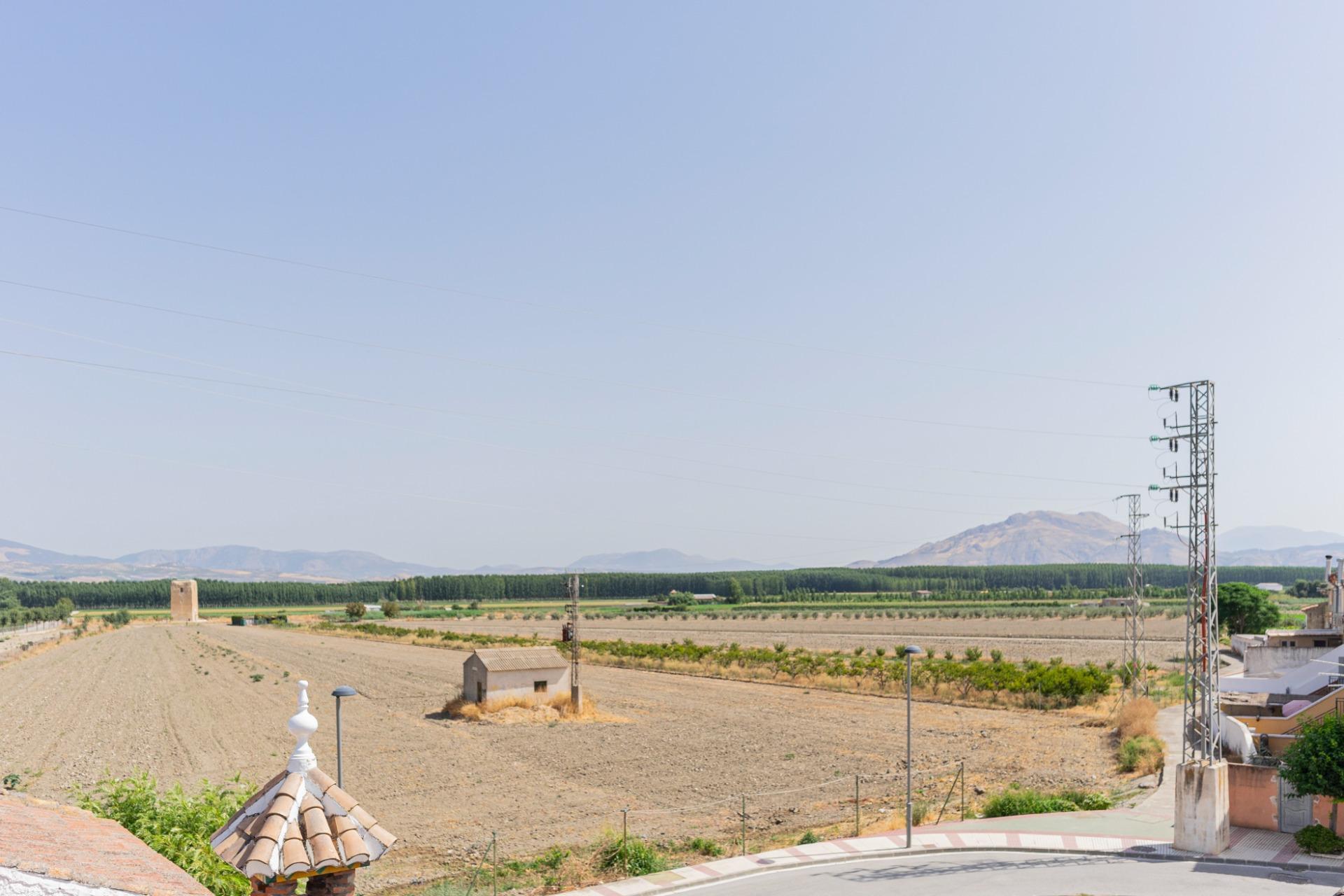 Casas o chalets-Venta-La Granada-1832843-Foto-34