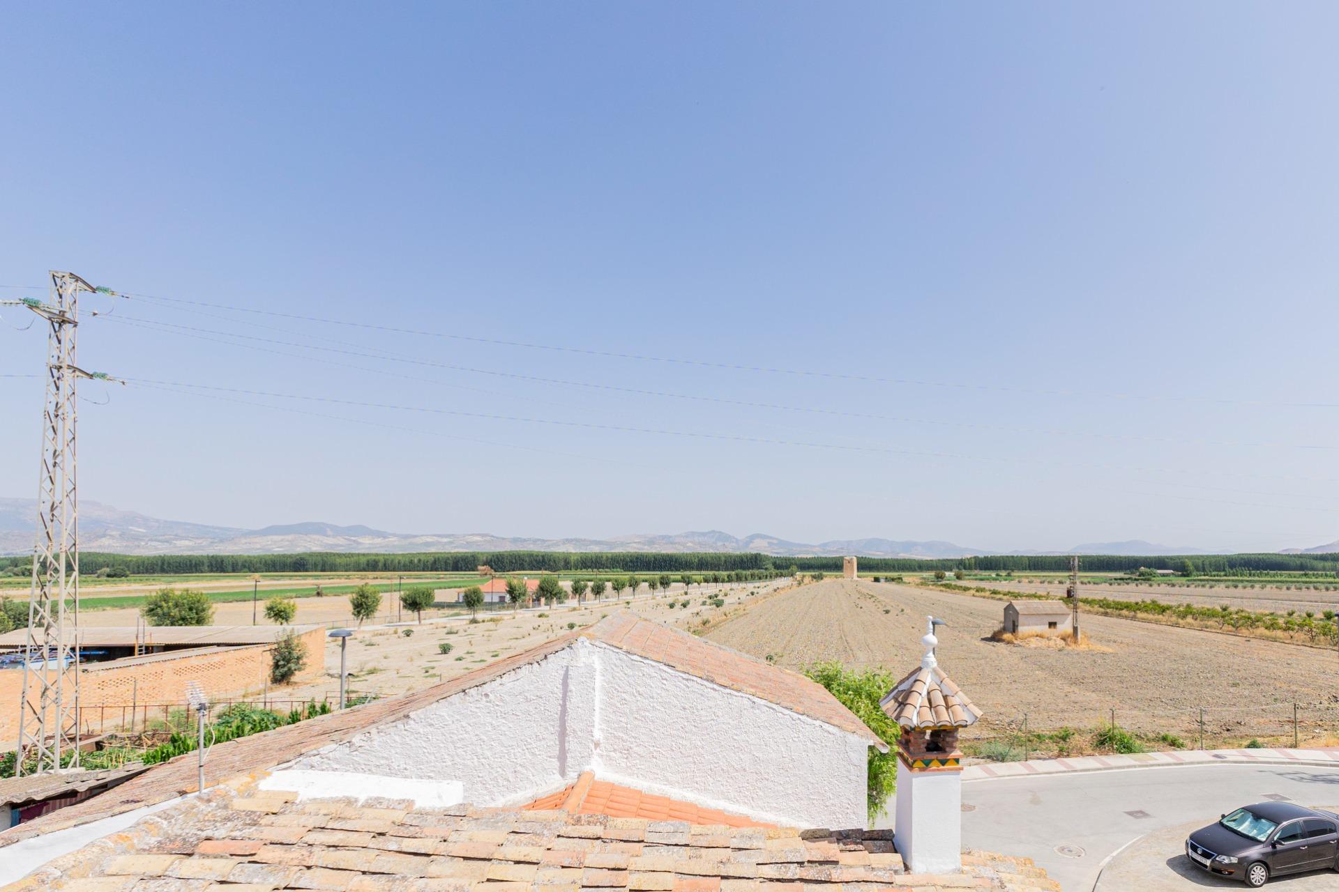 Casas o chalets-Venta-La Granada-1832843-Foto-42