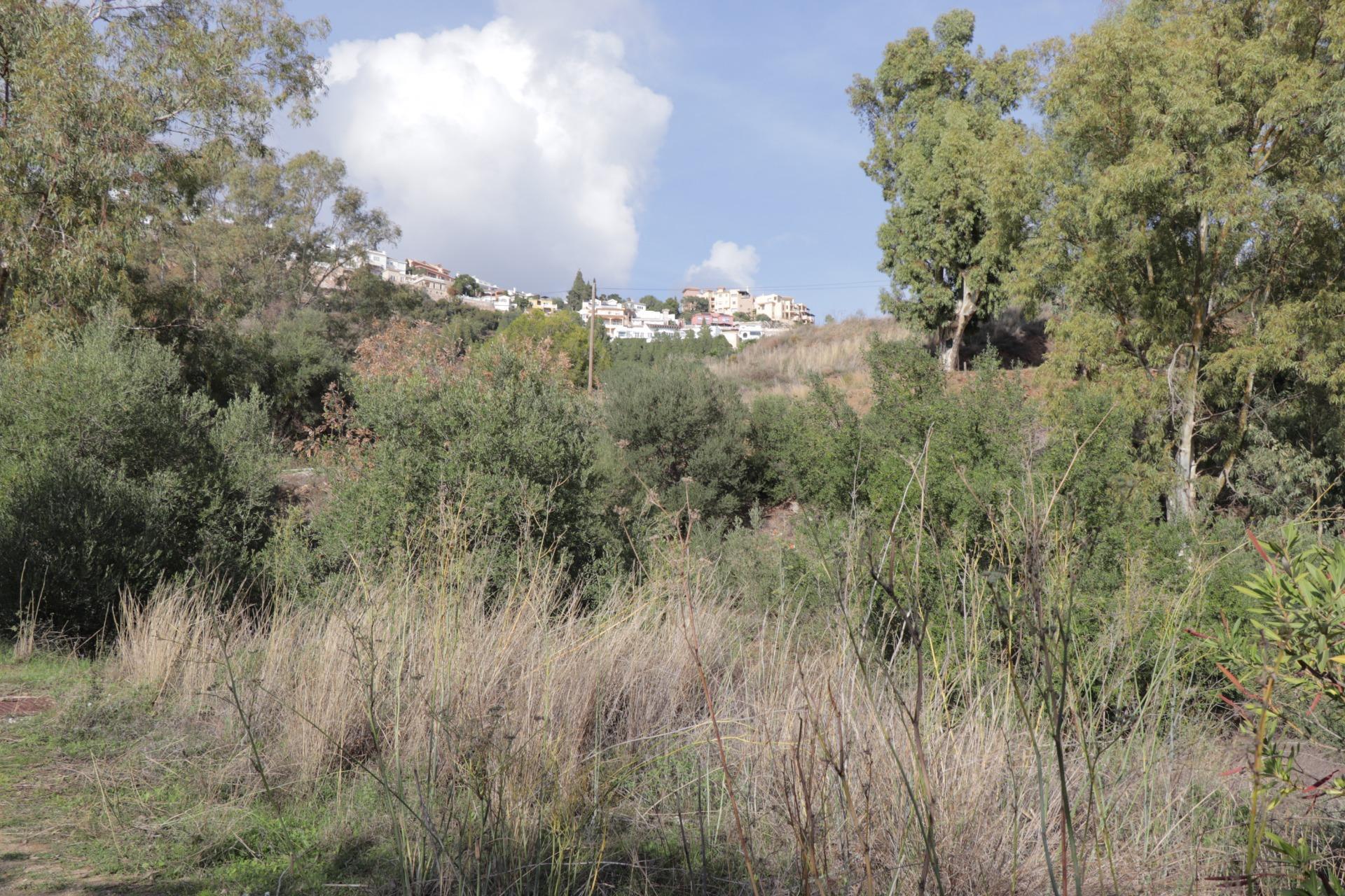 Fincas y solares-Venta-BenalmÃ¡dena-1482404-Foto-3