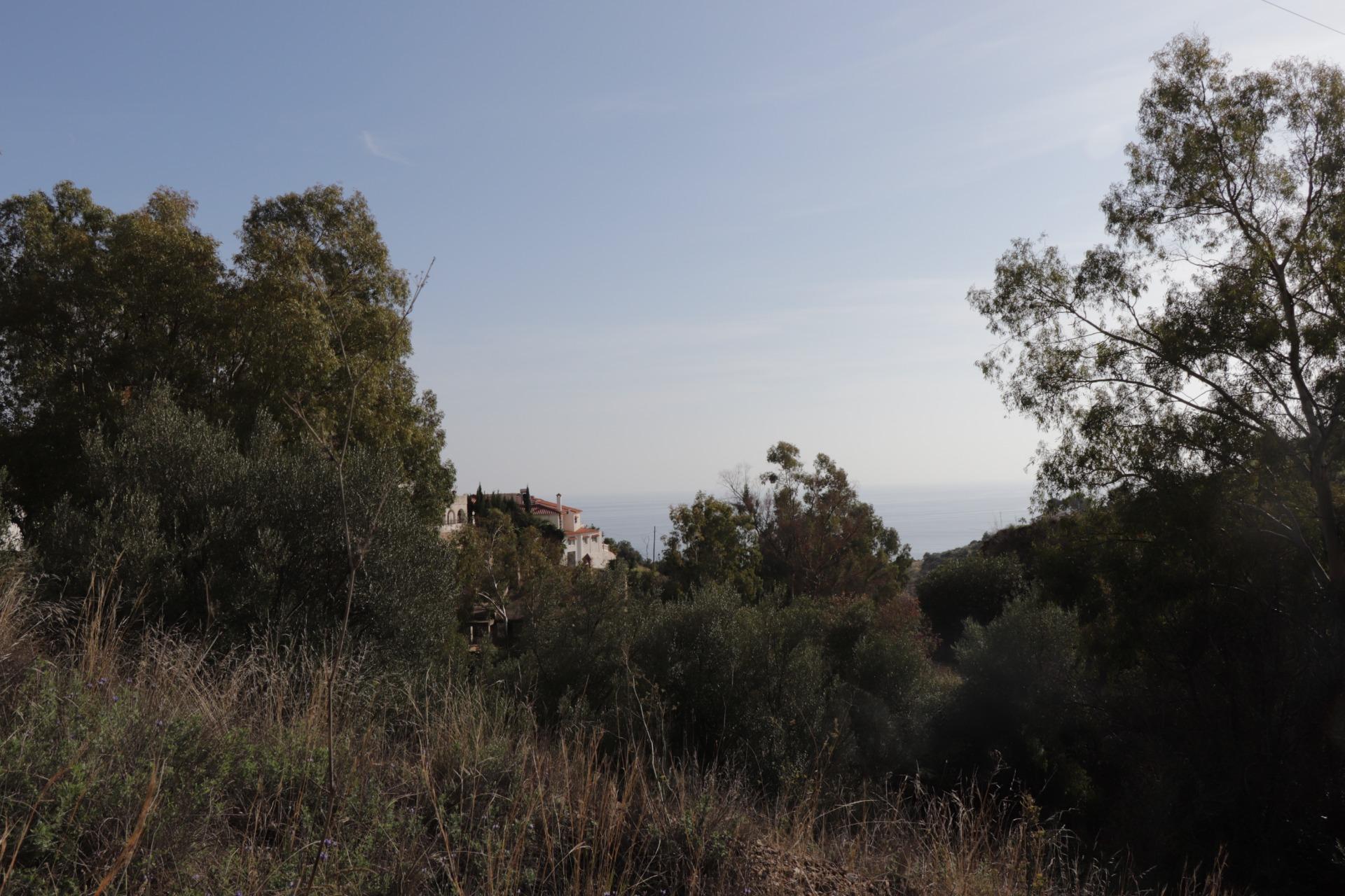 Fincas y solares-Venta-BenalmÃ¡dena-1482404-Foto-7