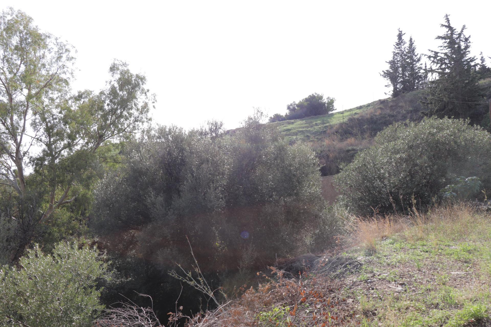 Fincas y solares-Venta-BenalmÃ¡dena-1482404-Foto-8