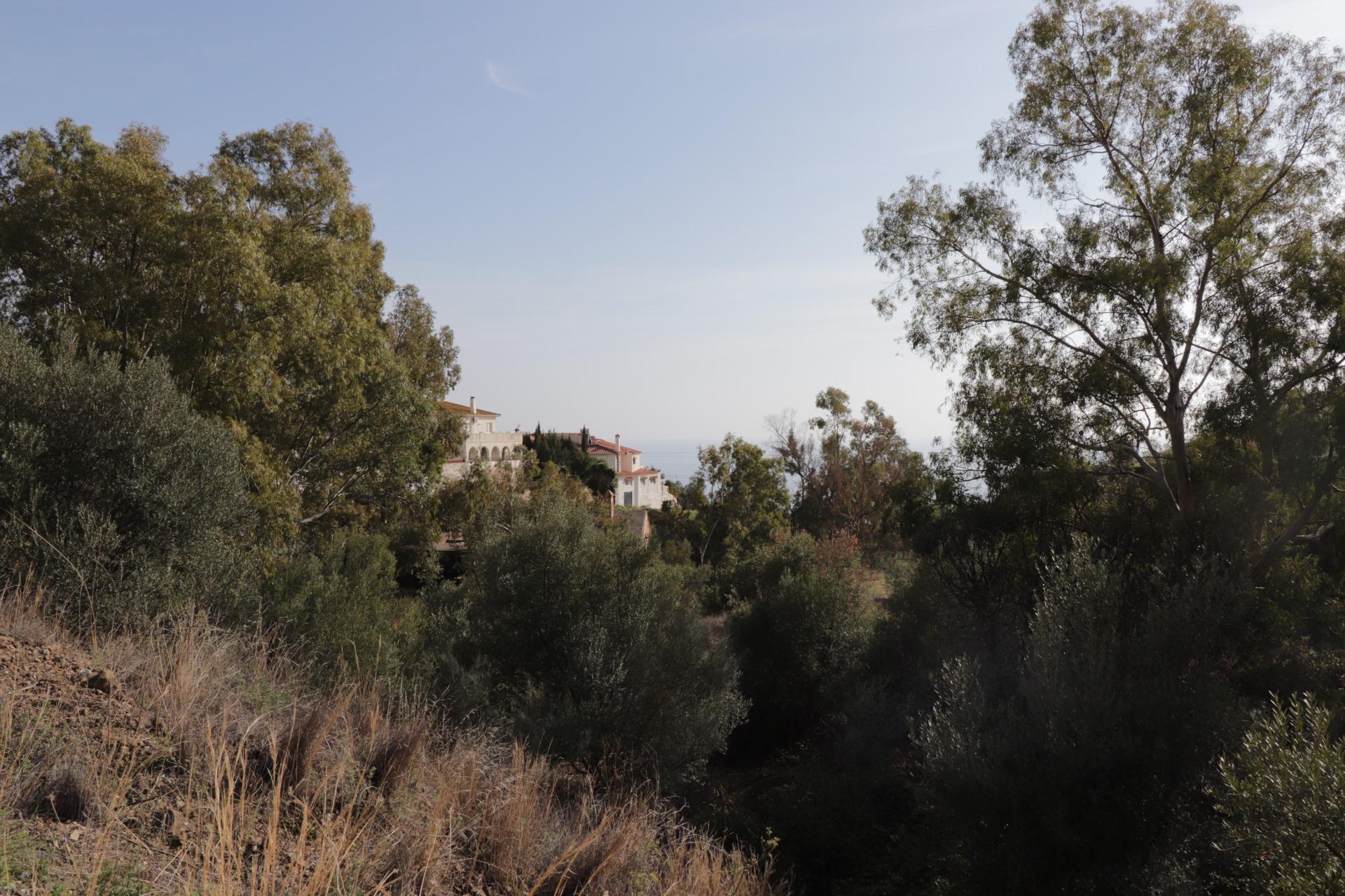 Fincas y solares-Venta-BenalmÃ¡dena-1482404-Foto-6