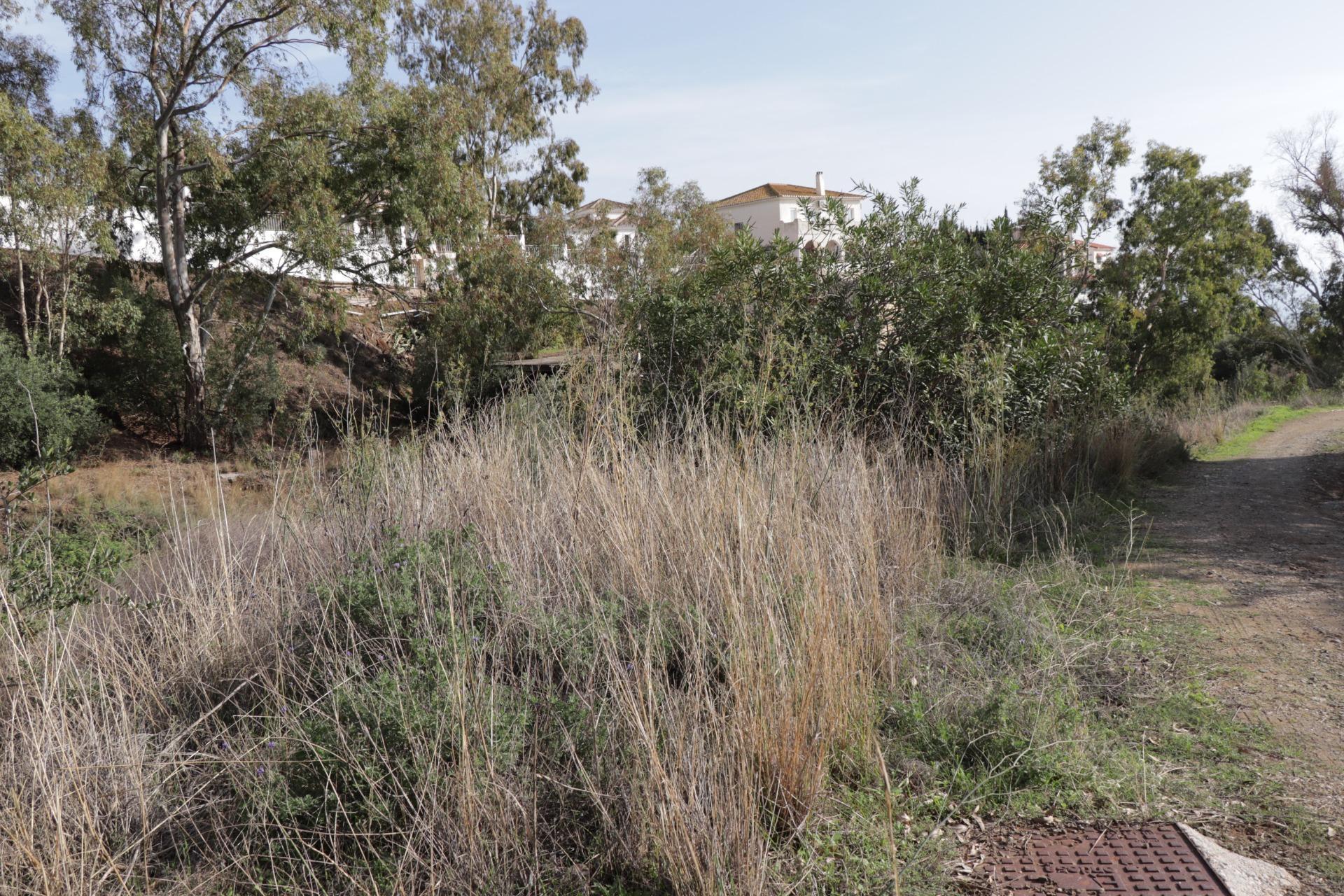 Fincas y solares-Venta-BenalmÃ¡dena-1482404-Foto-10