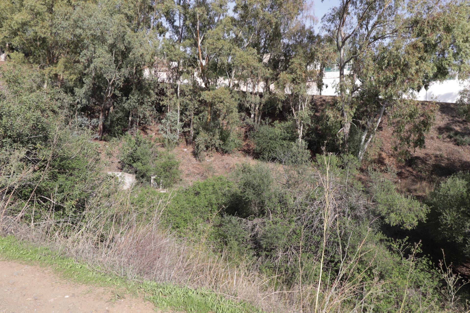 Fincas y solares-Venta-BenalmÃ¡dena-1482404-Foto-12