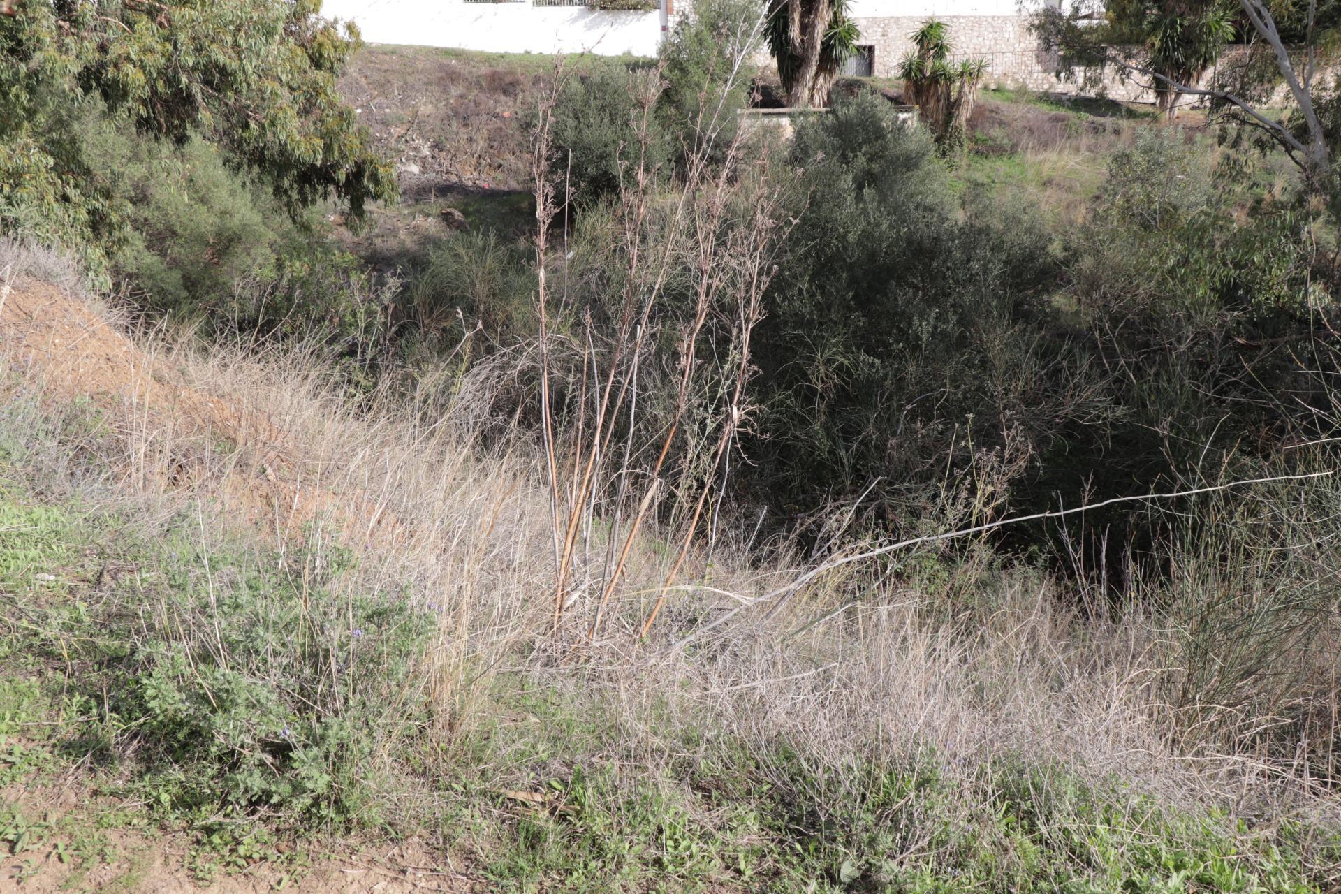 Fincas y solares-Venta-BenalmÃ¡dena-1482404-Foto-13