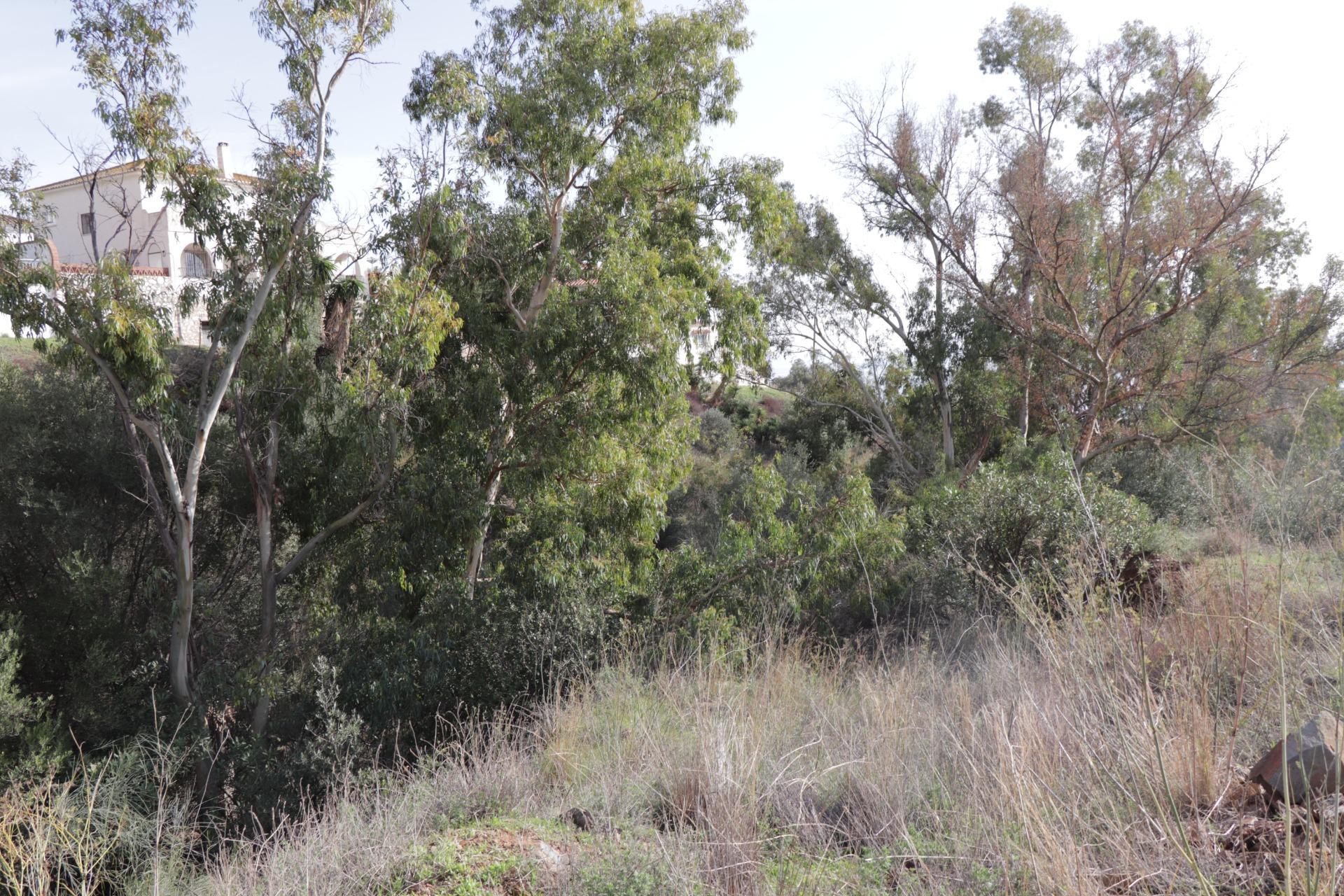 Fincas y solares-Venta-BenalmÃ¡dena-1482404-Foto-19