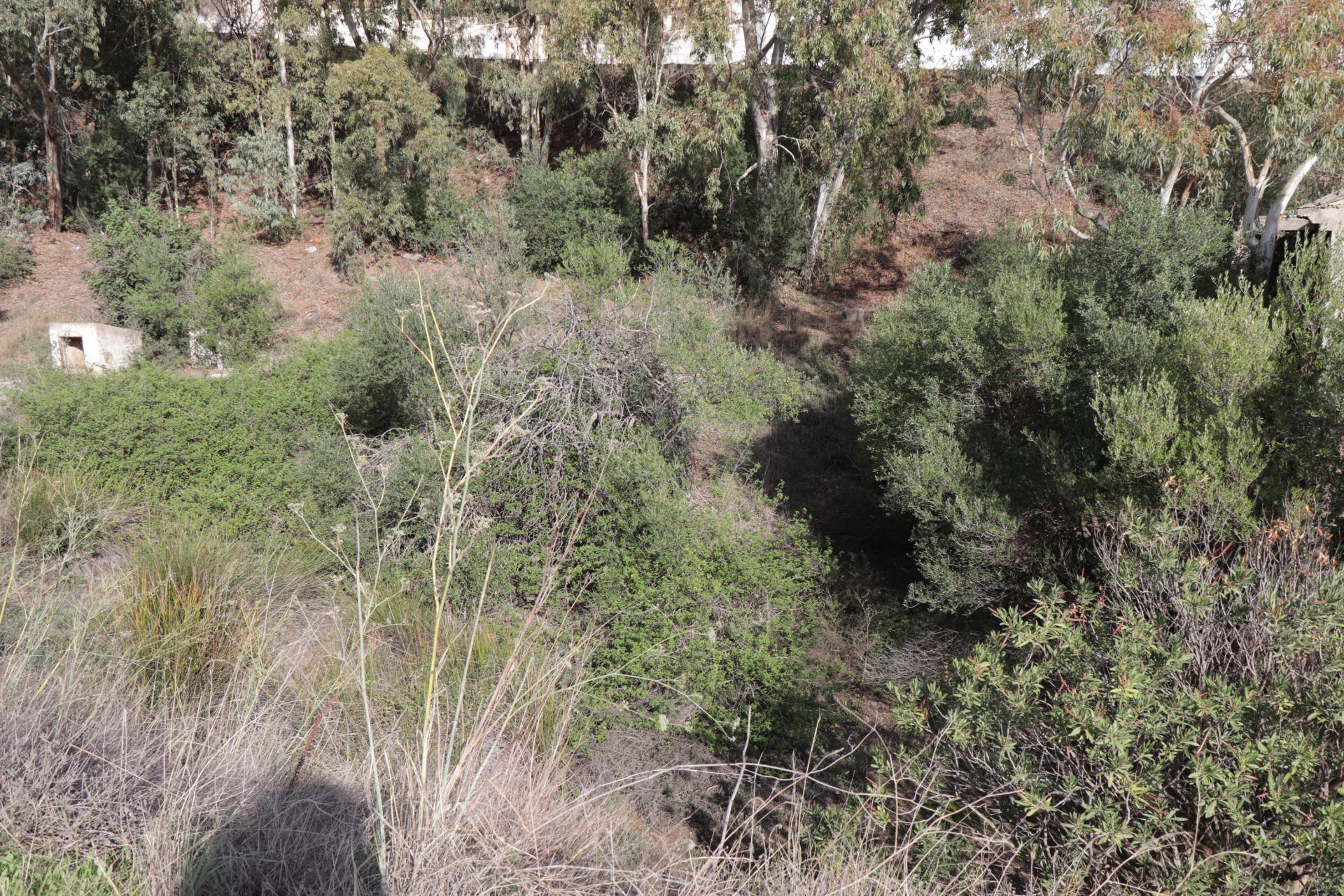 Fincas y solares-Venta-BenalmÃ¡dena-1482404-Foto-18