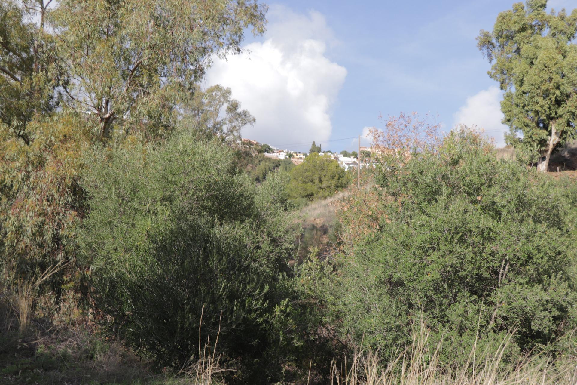 Fincas y solares-Venta-BenalmÃ¡dena-1482404-Foto-21