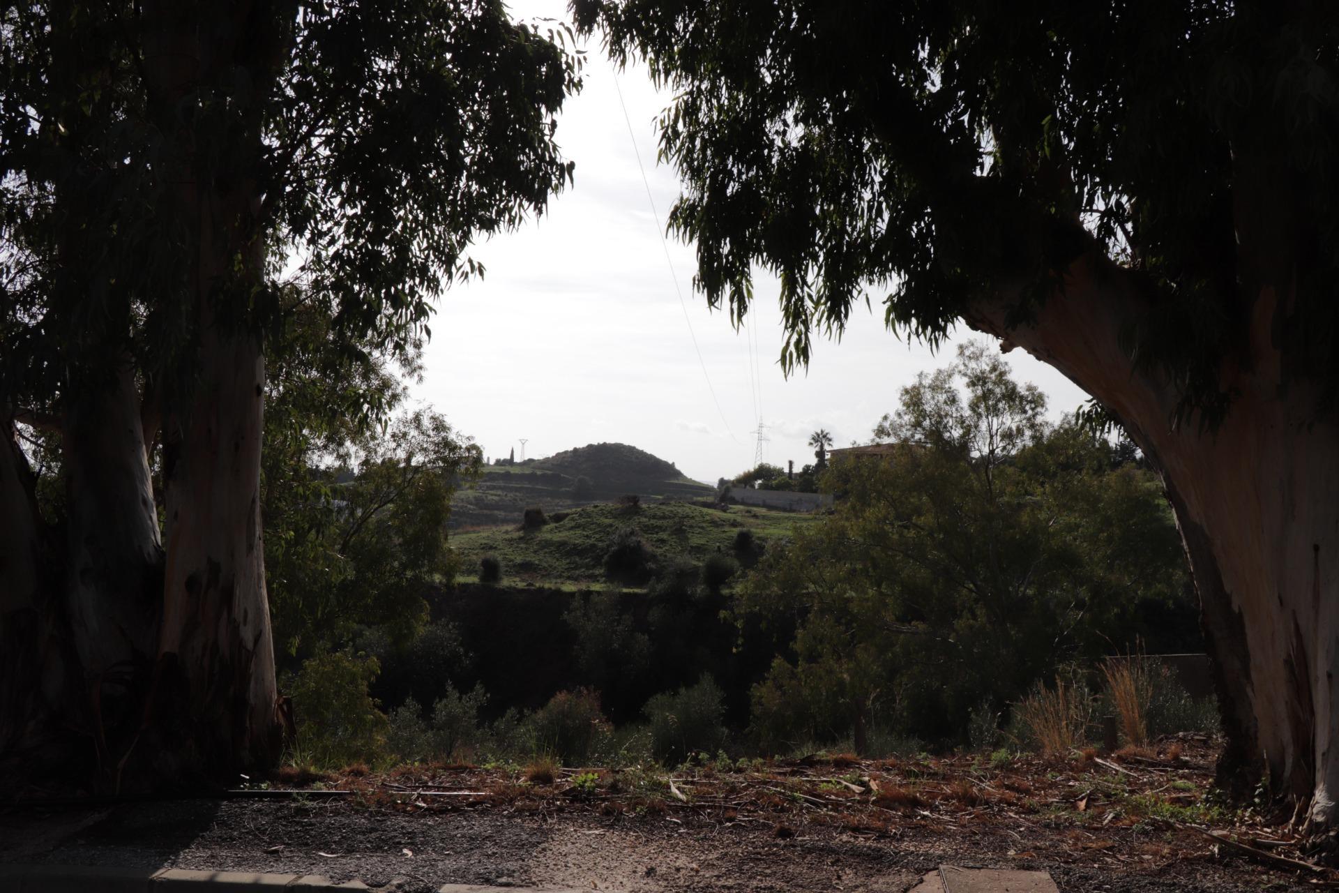 Fincas y solares-Venta-BenalmÃ¡dena-1482404-Foto-25