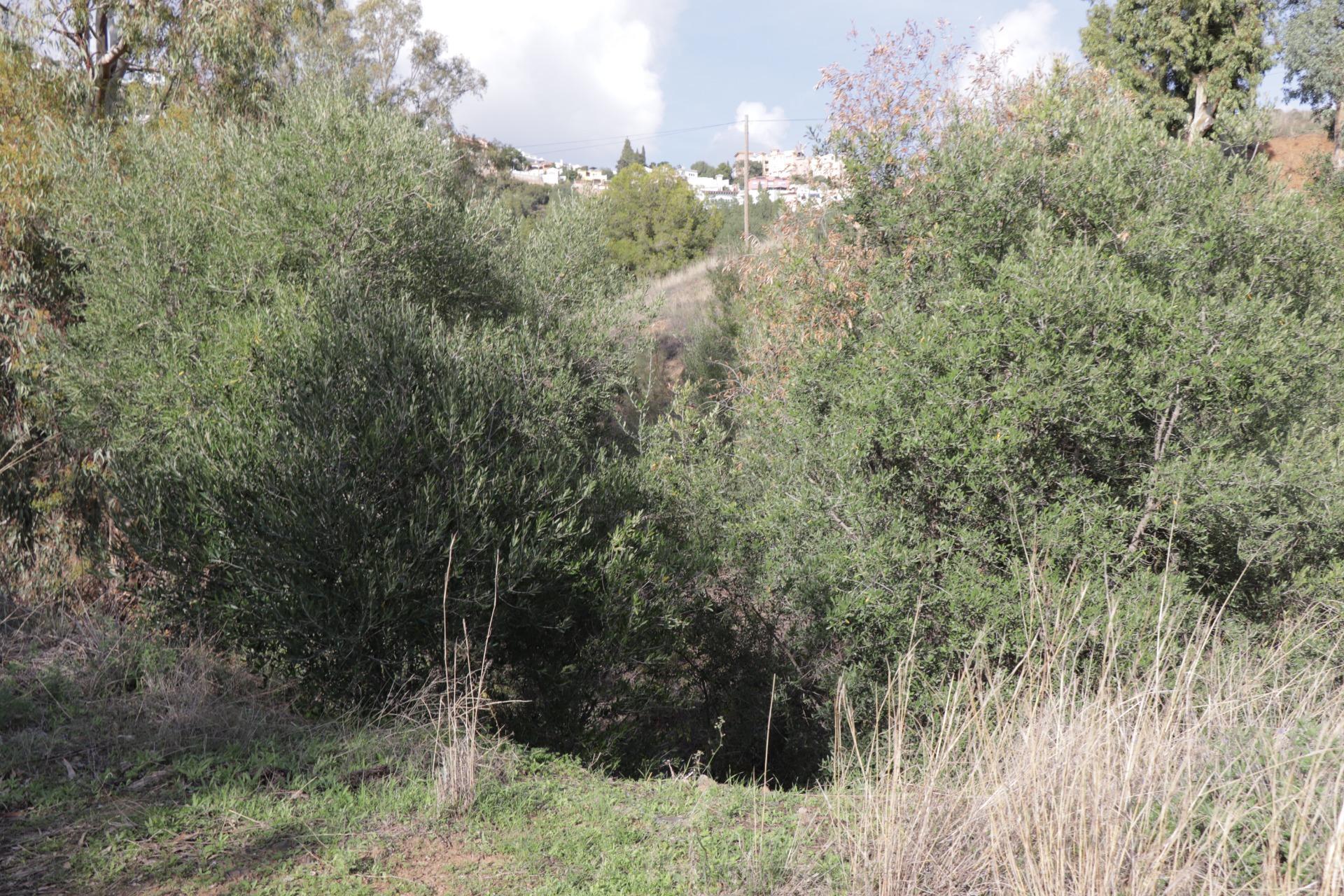 Fincas y solares-Venta-BenalmÃ¡dena-1482404-Foto-23