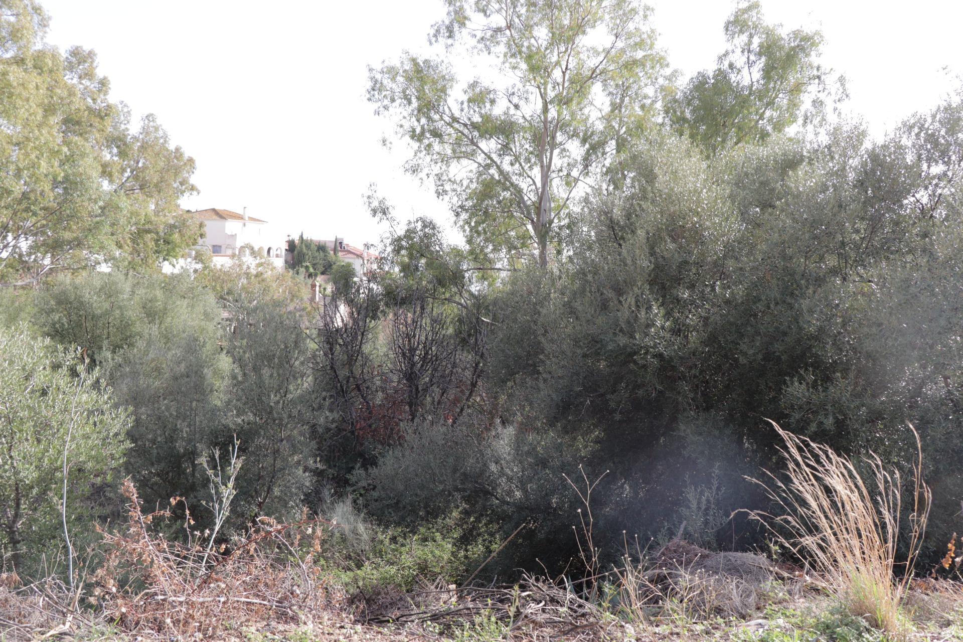 Fincas y solares-Venta-BenalmÃ¡dena-1482404-Foto-24