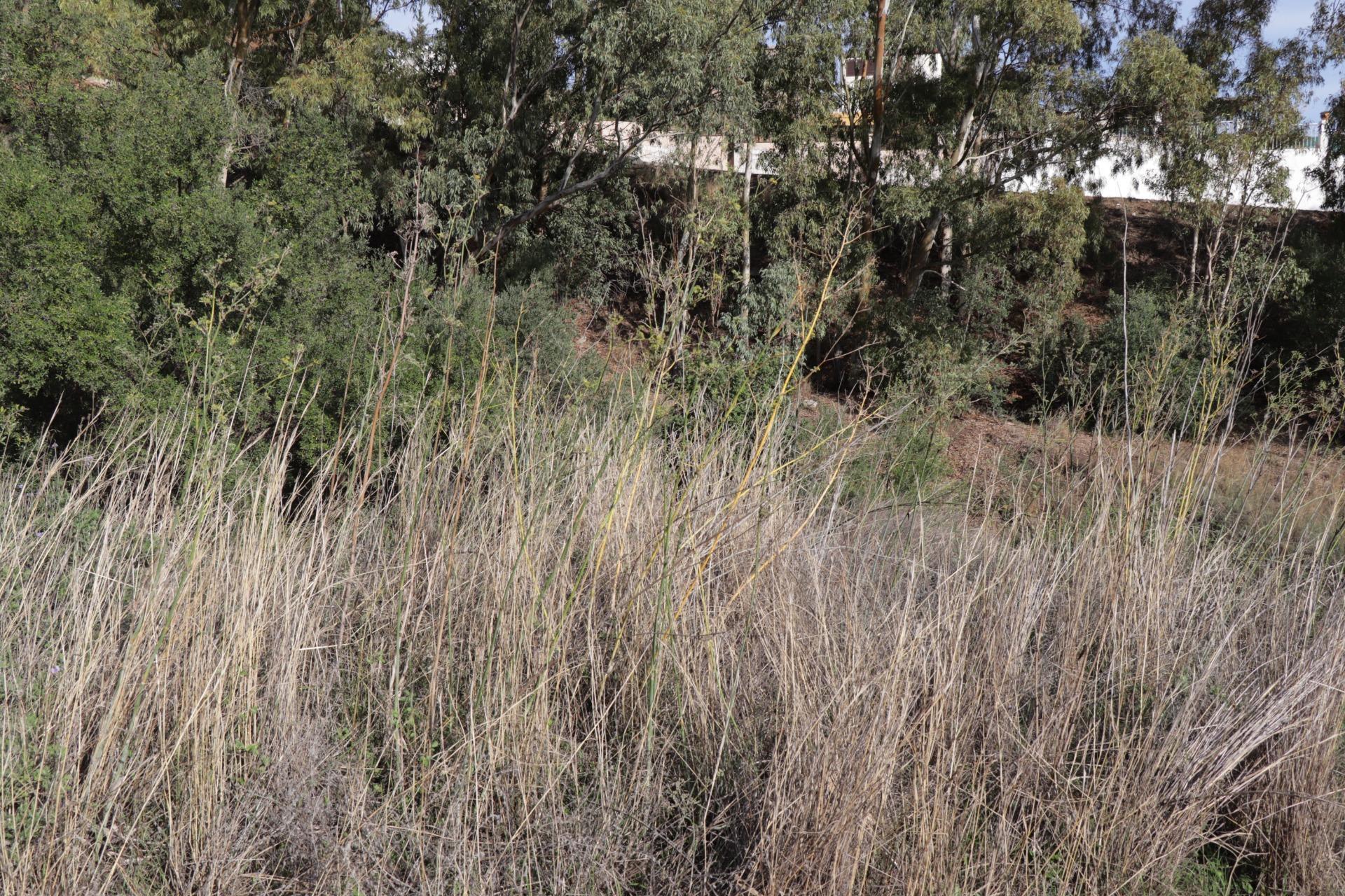 Fincas y solares-Venta-BenalmÃ¡dena-1482404-Foto-22