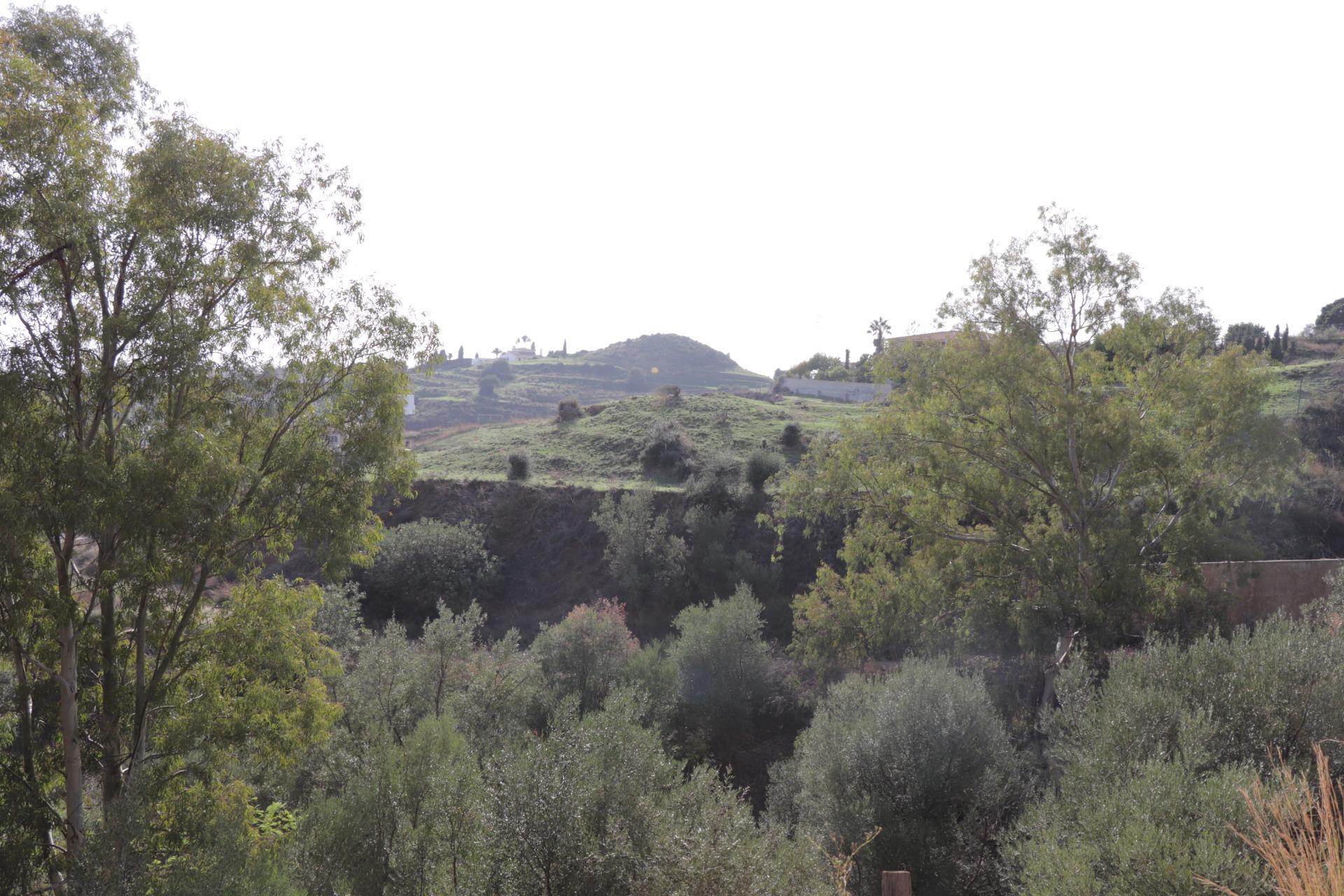 Fincas y solares-Venta-BenalmÃ¡dena-1482404-Foto-26