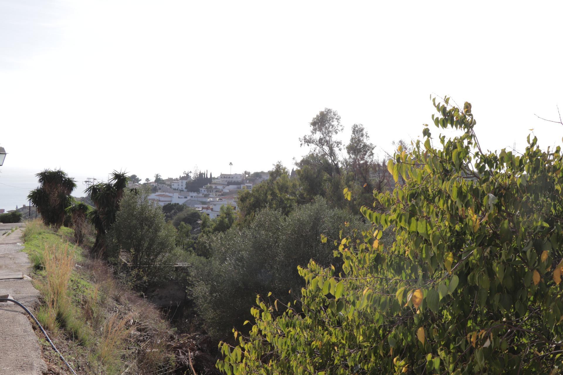 Fincas y solares-Venta-BenalmÃ¡dena-1482404-Foto-29