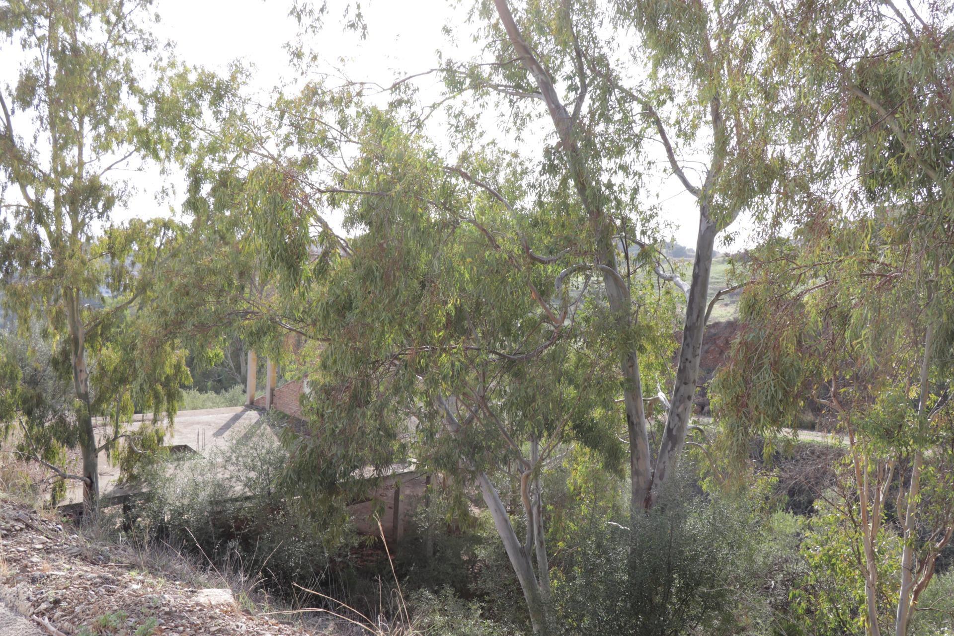 Fincas y solares-Venta-BenalmÃ¡dena-1482404-Foto-27