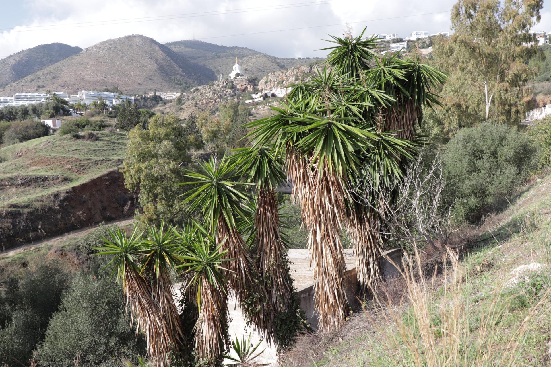 Fincas y solares-Venta-BenalmÃ¡dena-1482404-Foto-31