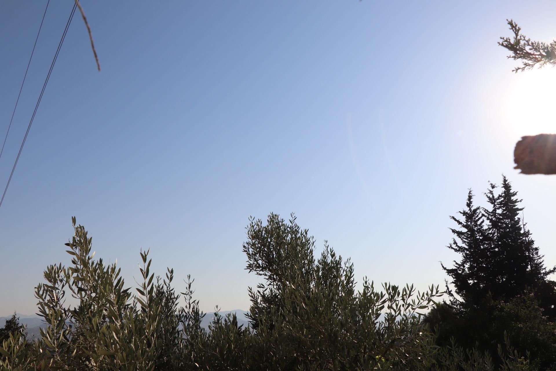 Fincas y solares-Venta-AlhaurÃ­n de la Torre-1832023-Foto-7