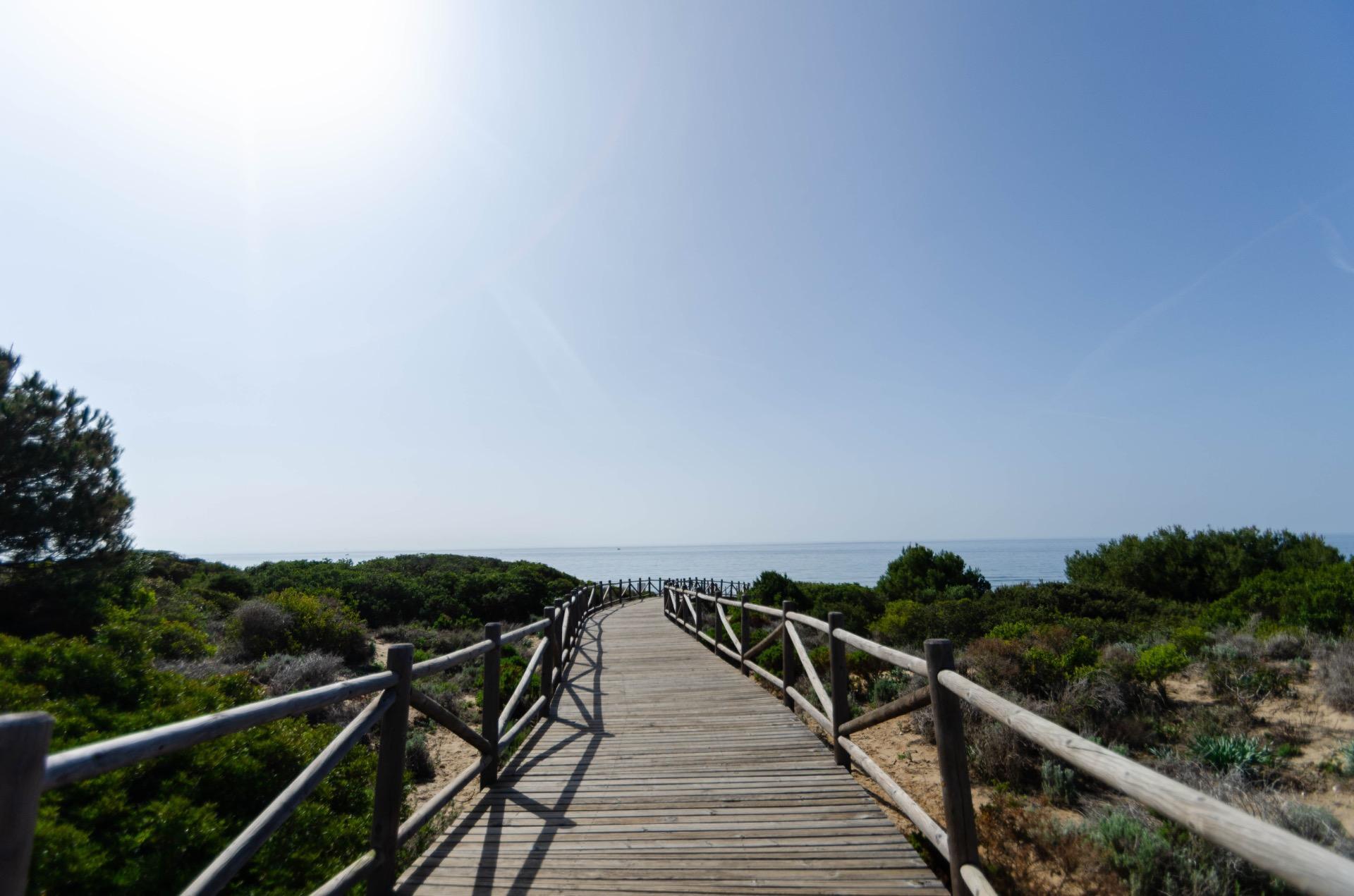 Pisos-Venta-Marbella-1835005-Foto-25