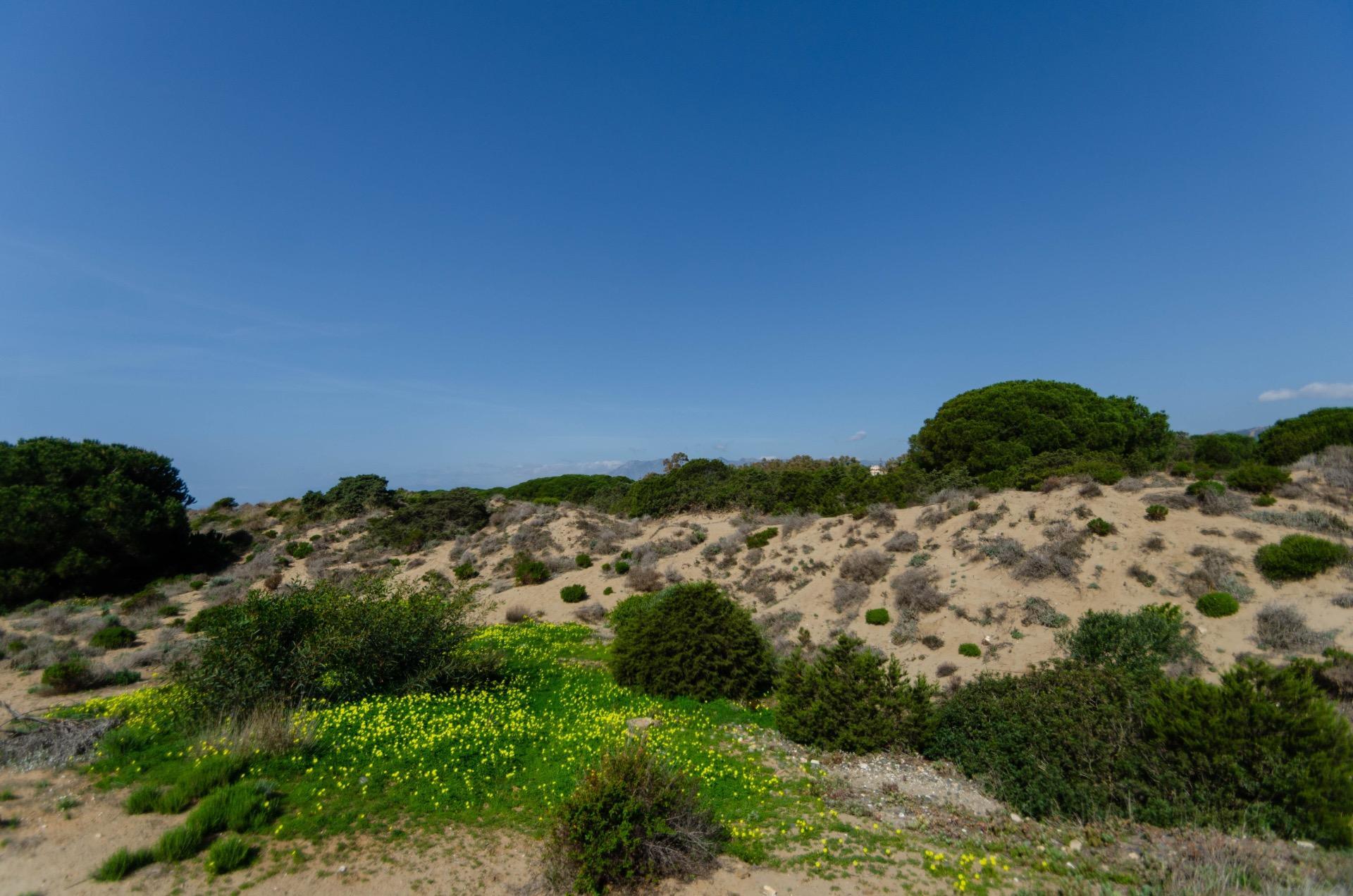 Pisos-Venta-Marbella-1835005-Foto-33