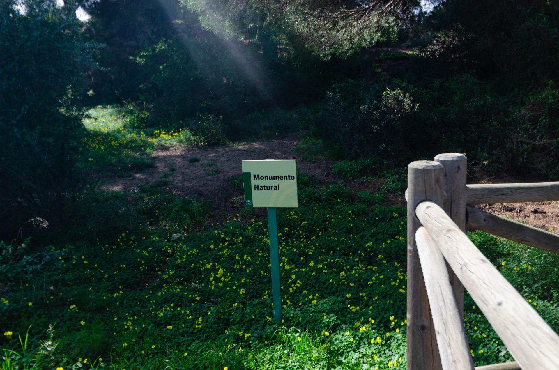 Pisos-Venta-Marbella-1835005-Foto-32