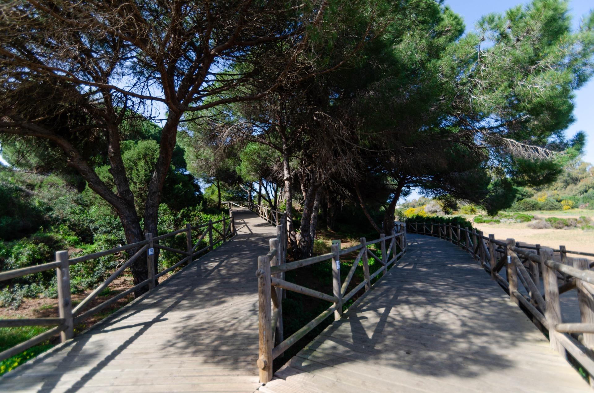 Pisos-Venta-Marbella-1835005-Foto-31