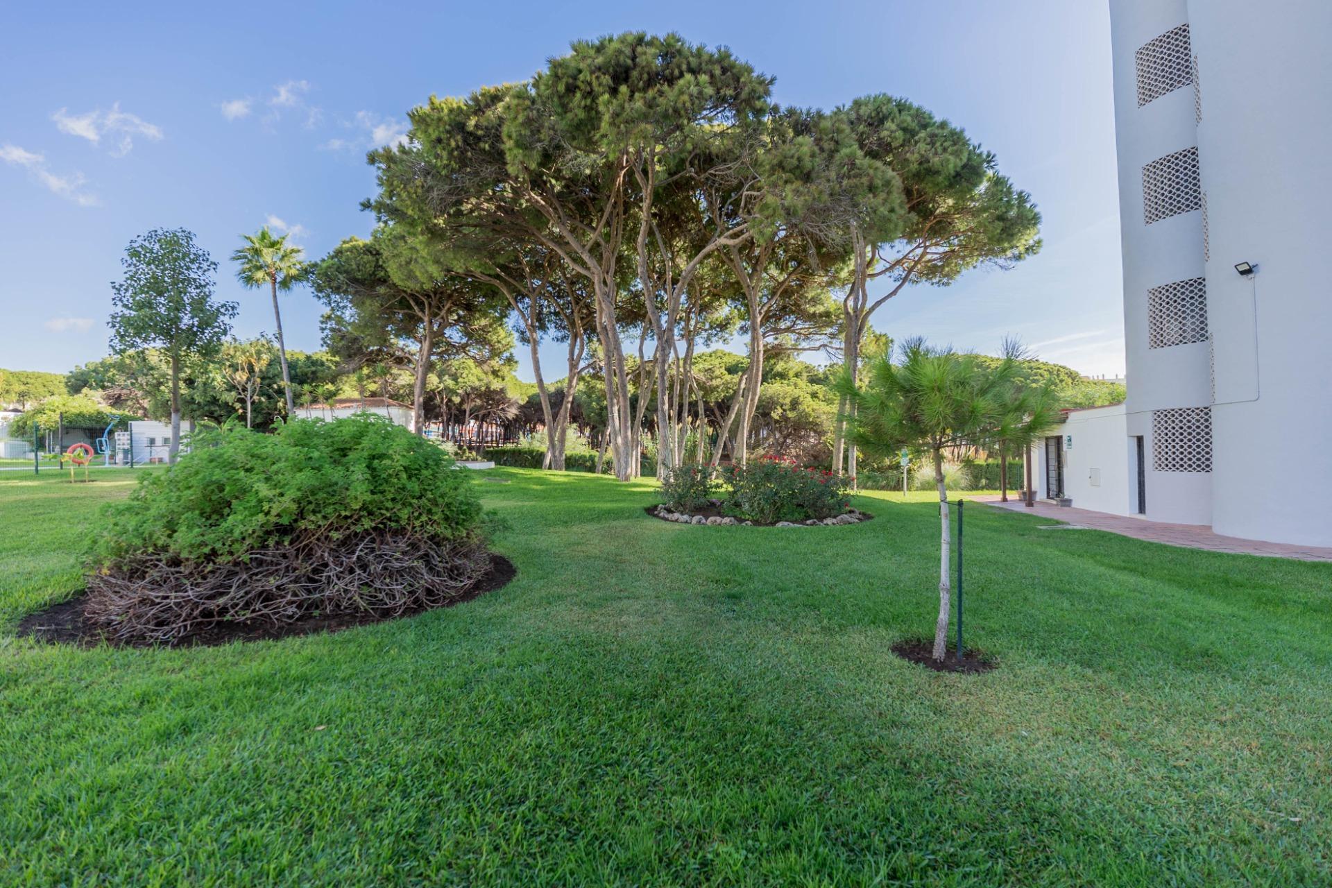 Pisos-Venta-Mijas-1904822-Foto-29