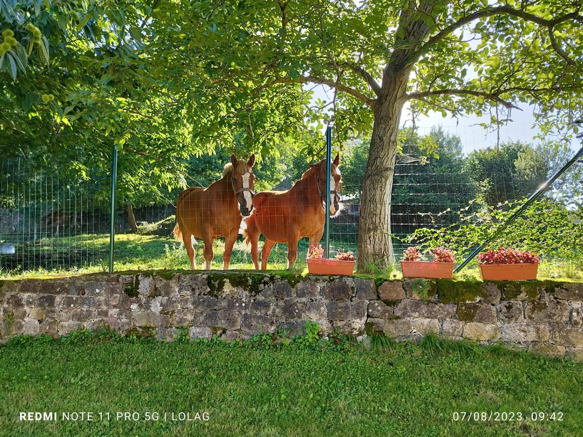 Casas o chalets-Venta-CastaÃ±eda-1842747-Foto-84