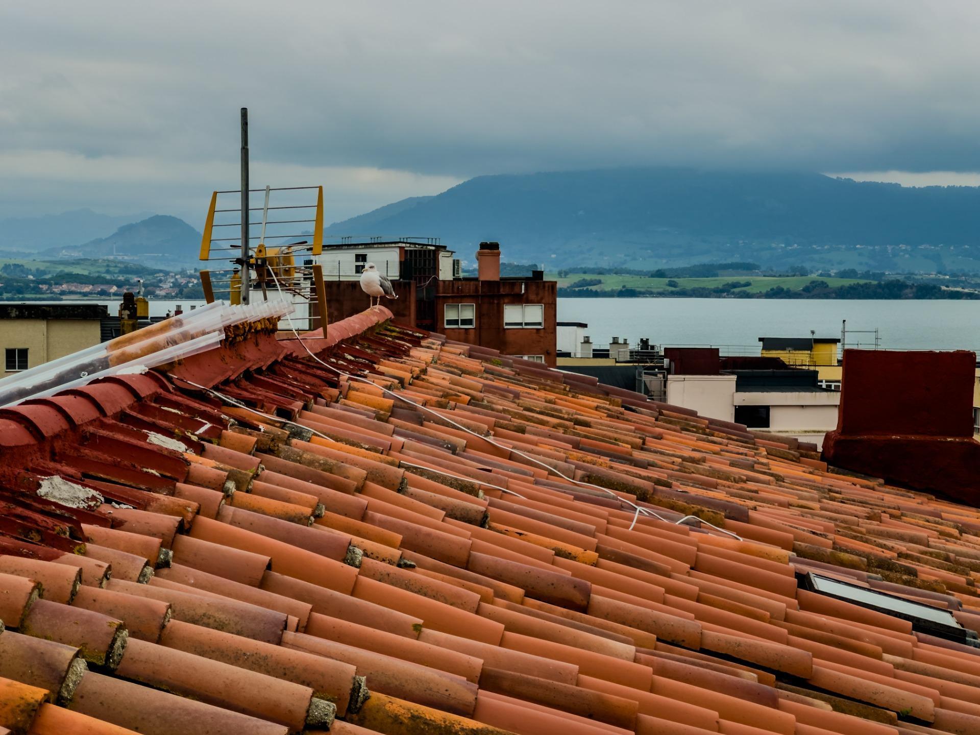 Pisos-Venta-Santander-1886861-Foto-6